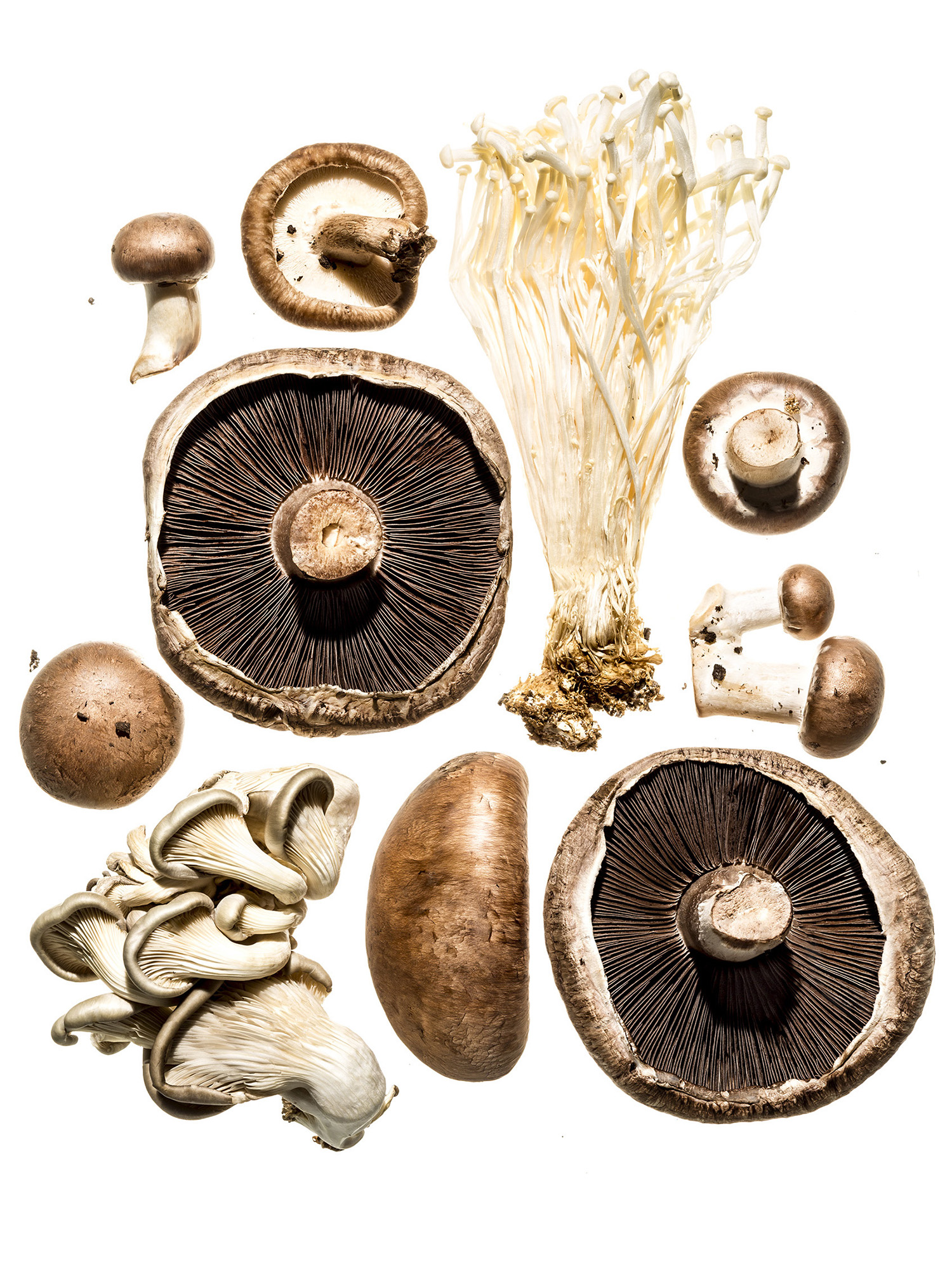 Mushrooms_110.jpg
