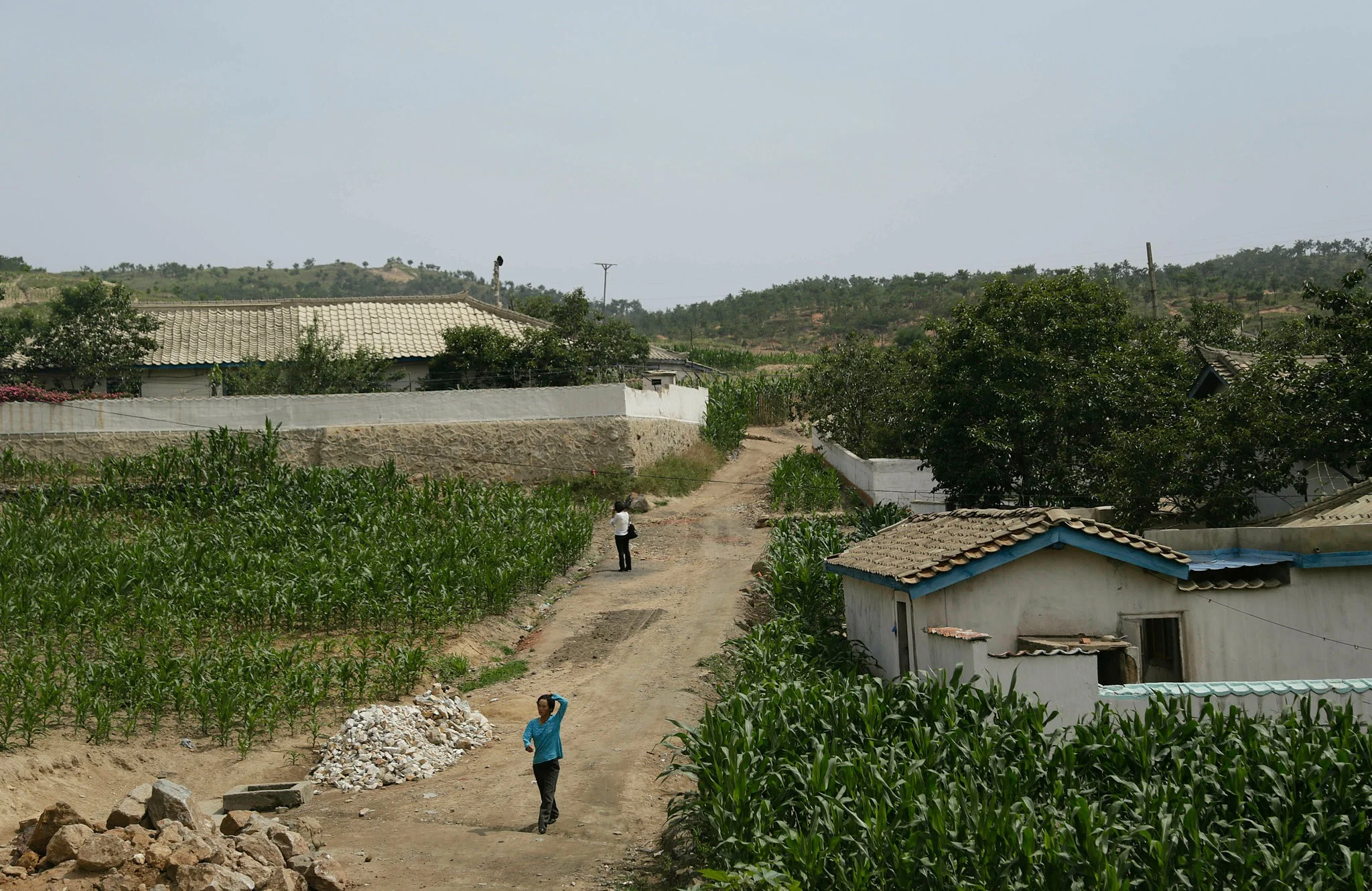 Cornfields in South Hwanghae, North Korea, in 2015. Severe drought and a weak harvest last fall have brought urgent warnings of a food crisis in the North. Credit Wong Maye-E/Associated Press