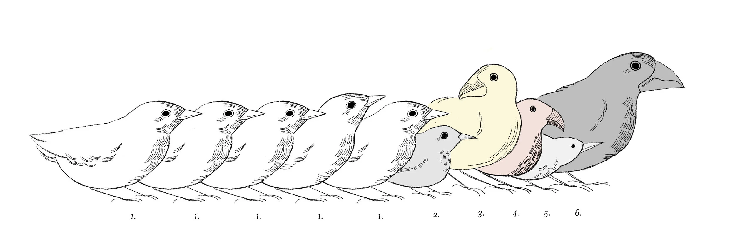 Bielski_Emily_Diversity_in_Labs_Editorial_Illustration.jpg