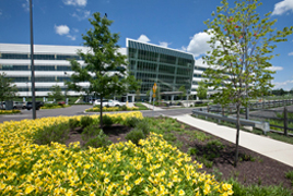 Einstein Medical Center Montgomery