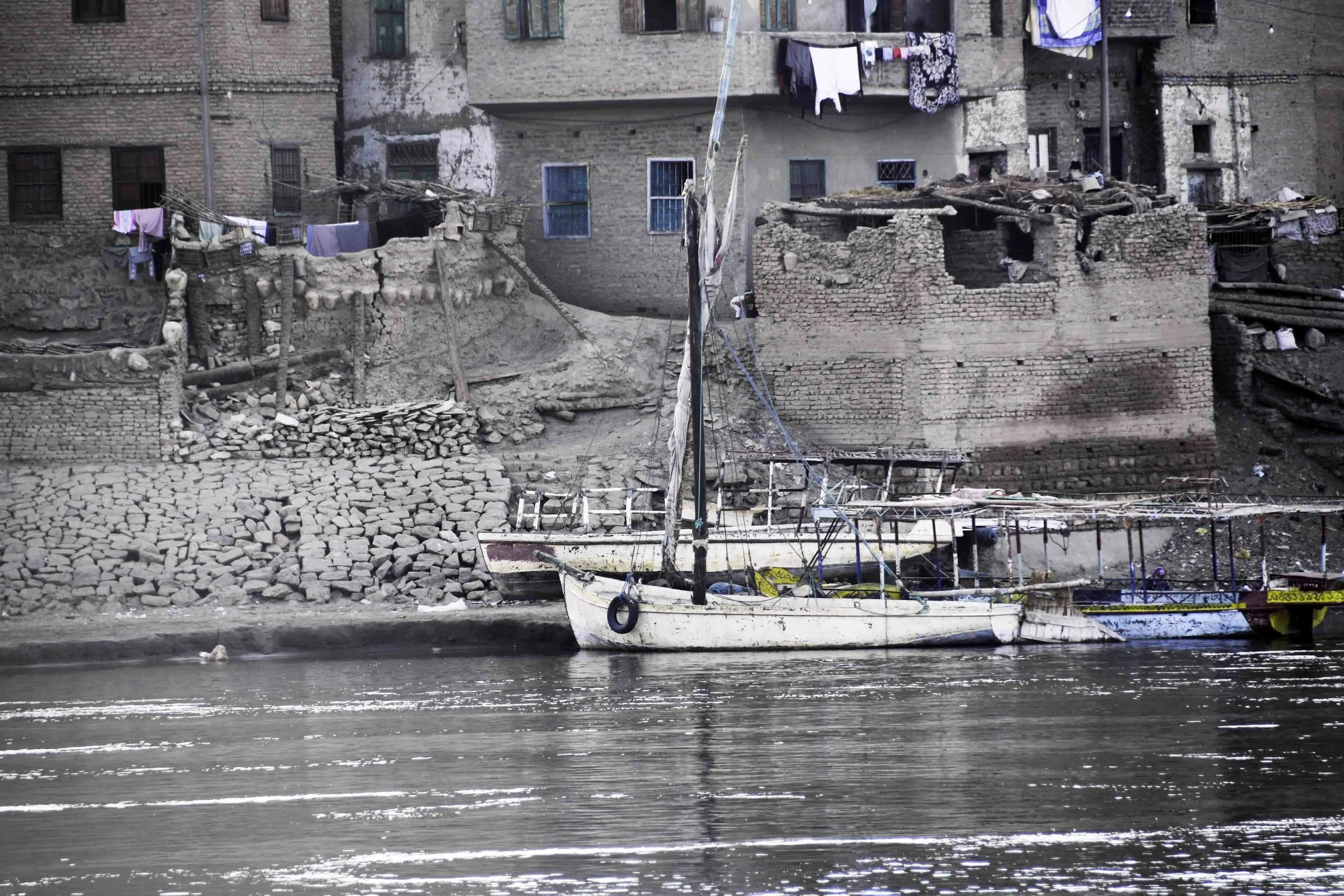 DSC_0486.jpg