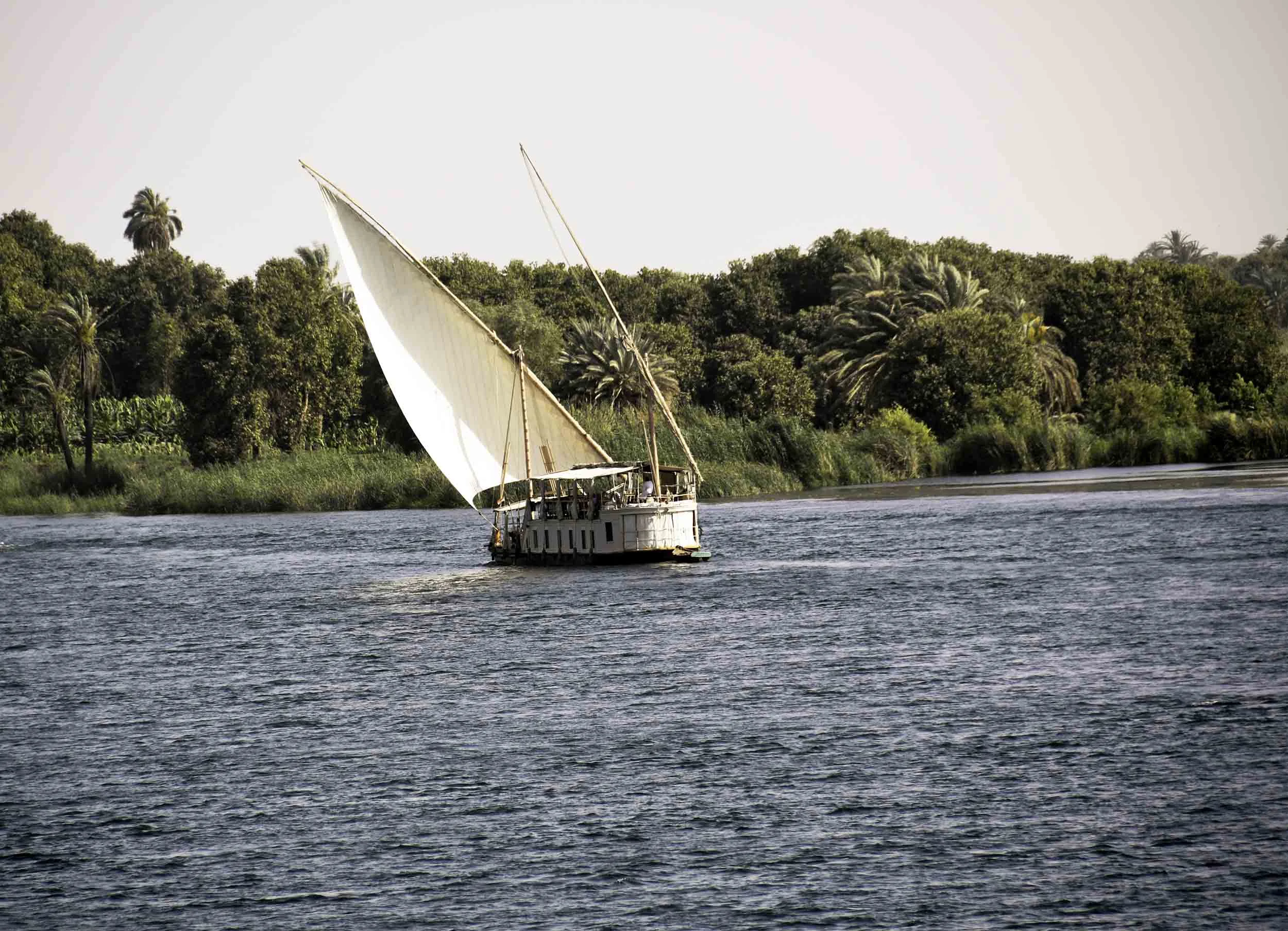 DSC_0787.jpg