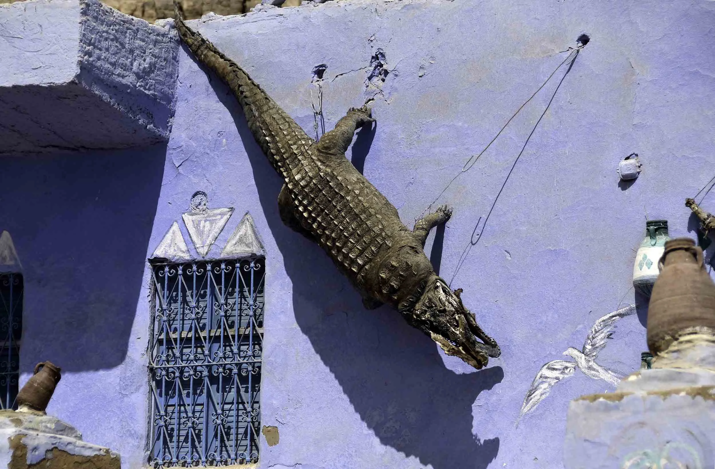 DSC_0988_gator_I.jpg