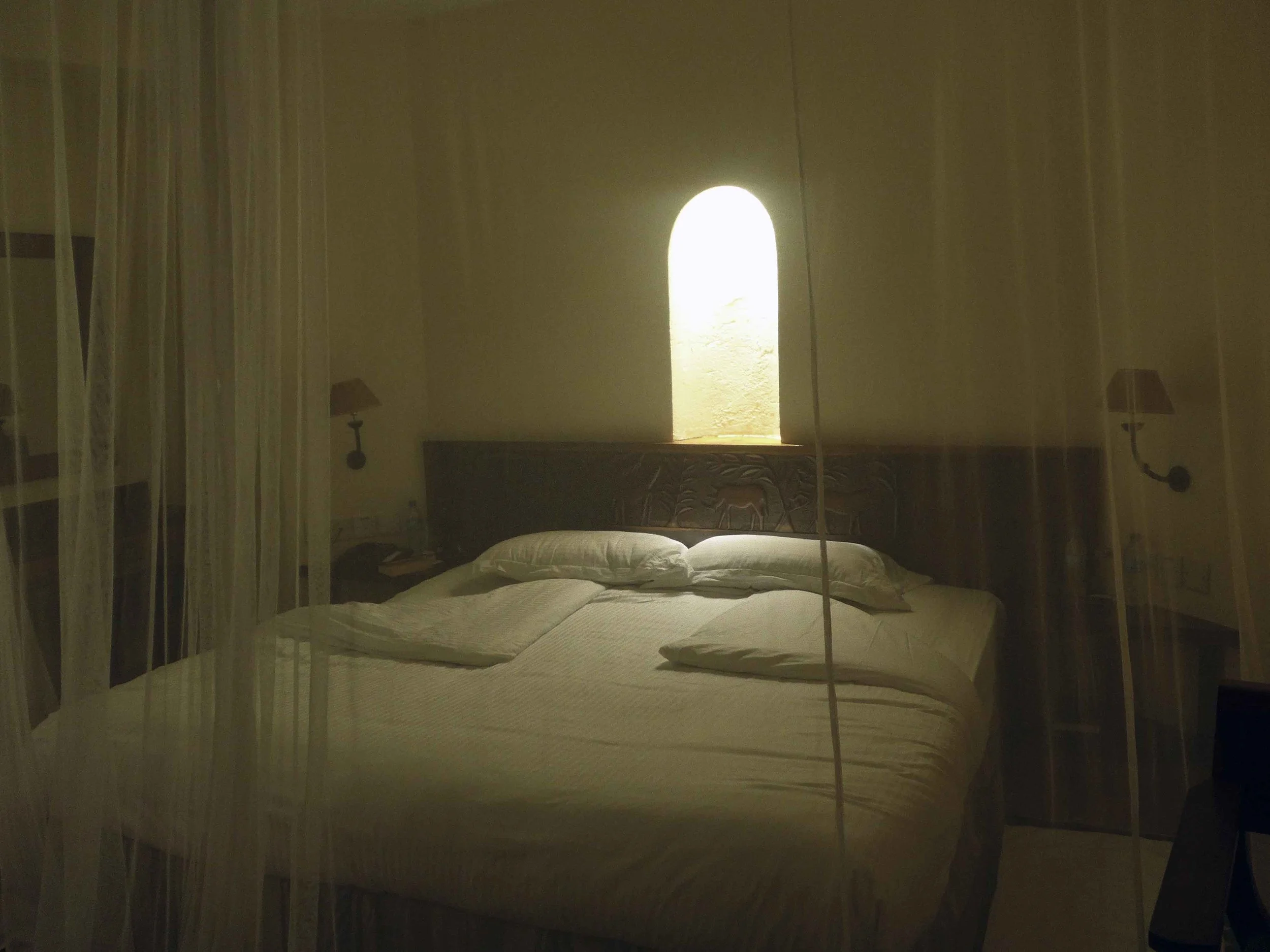P1010515.jpg