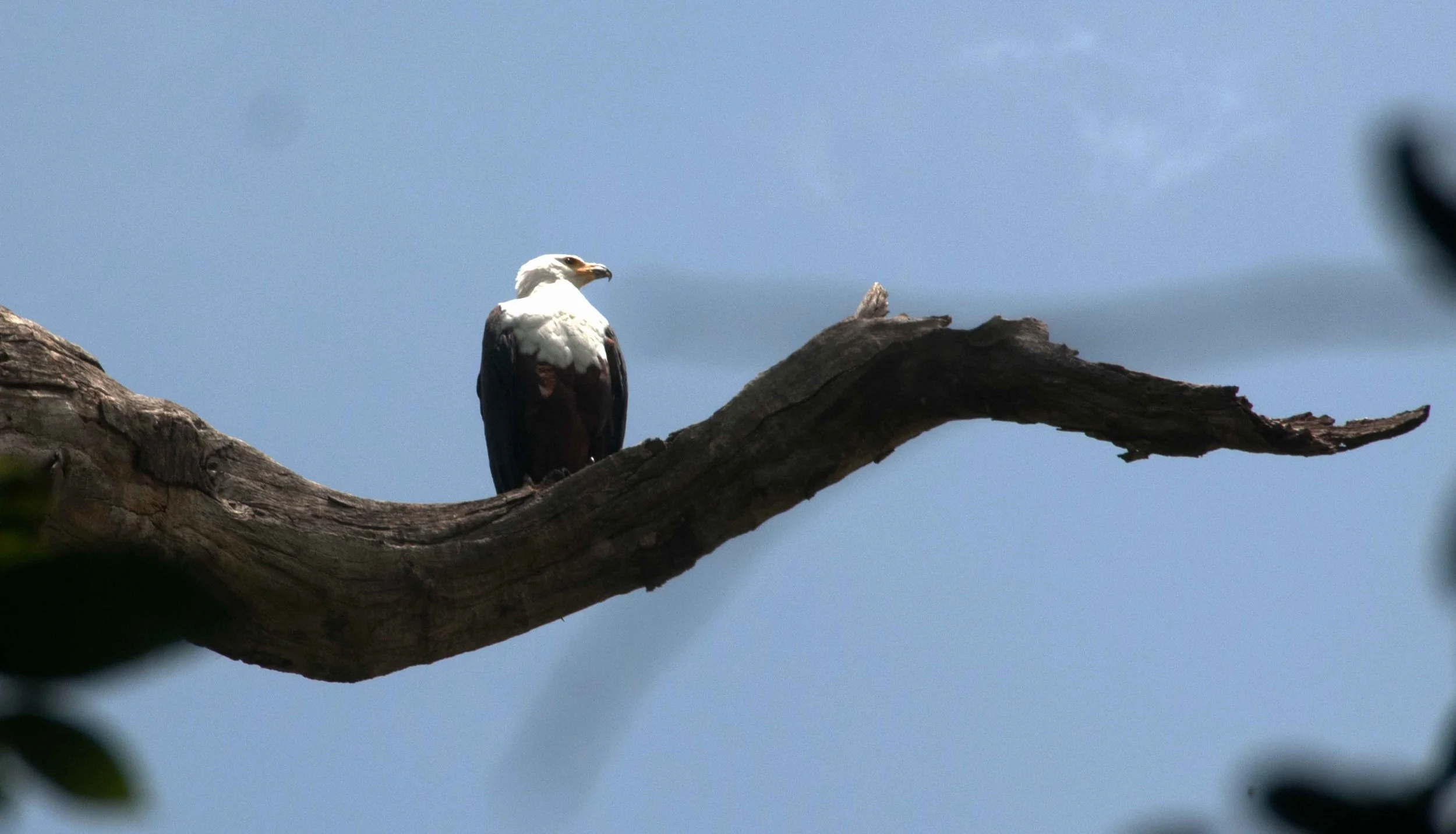 DSC_6532.jpg