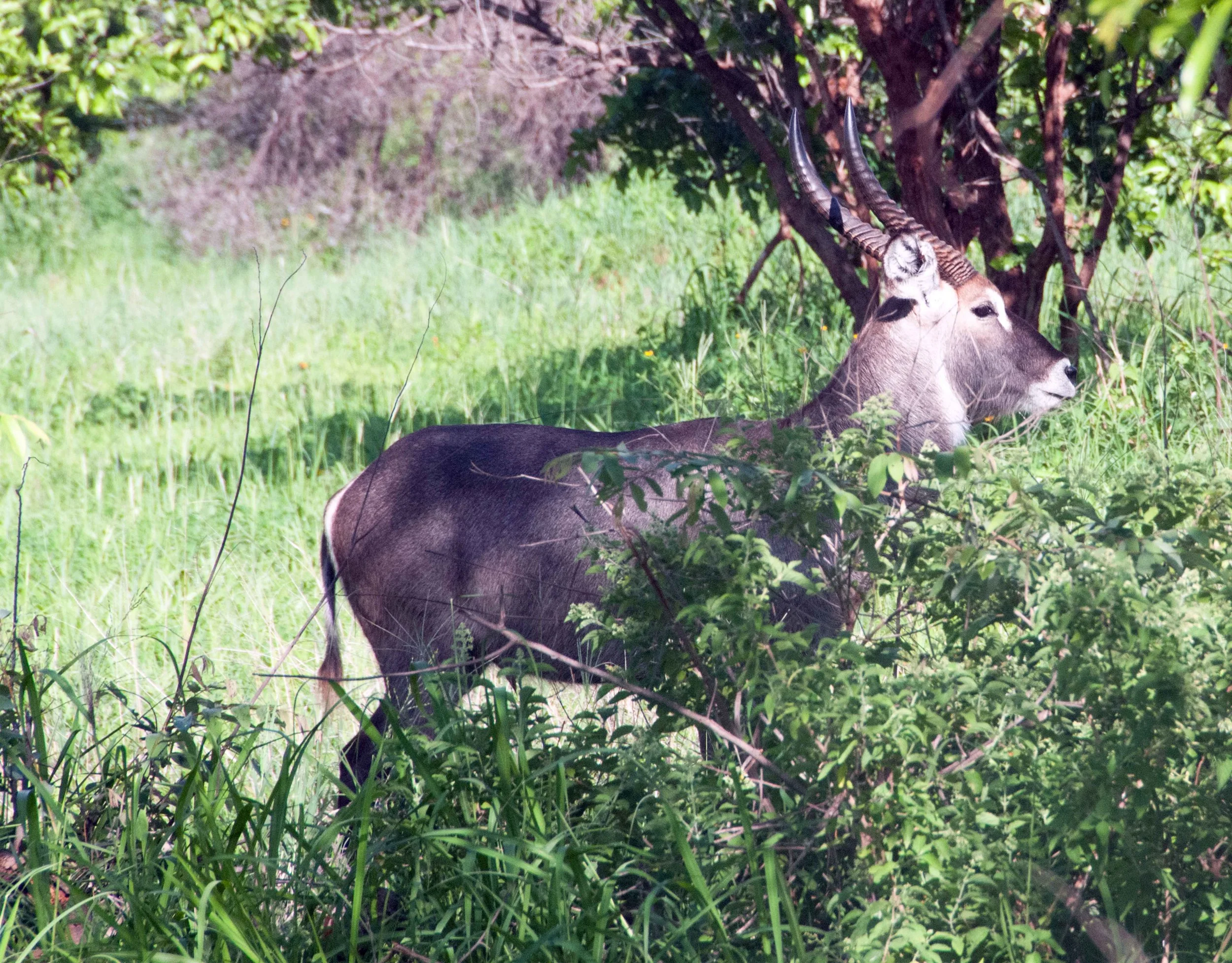 DSC_6658.jpg