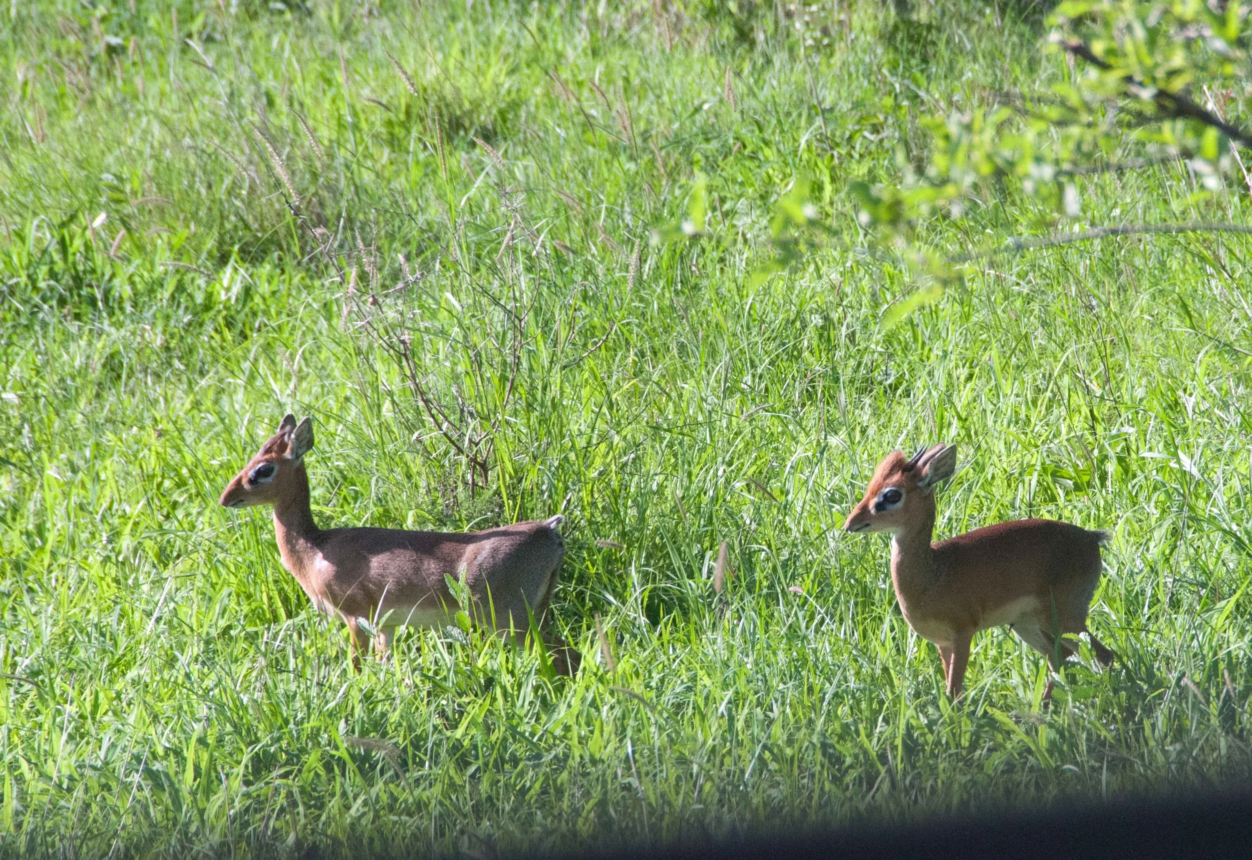 DSC_6673.jpg