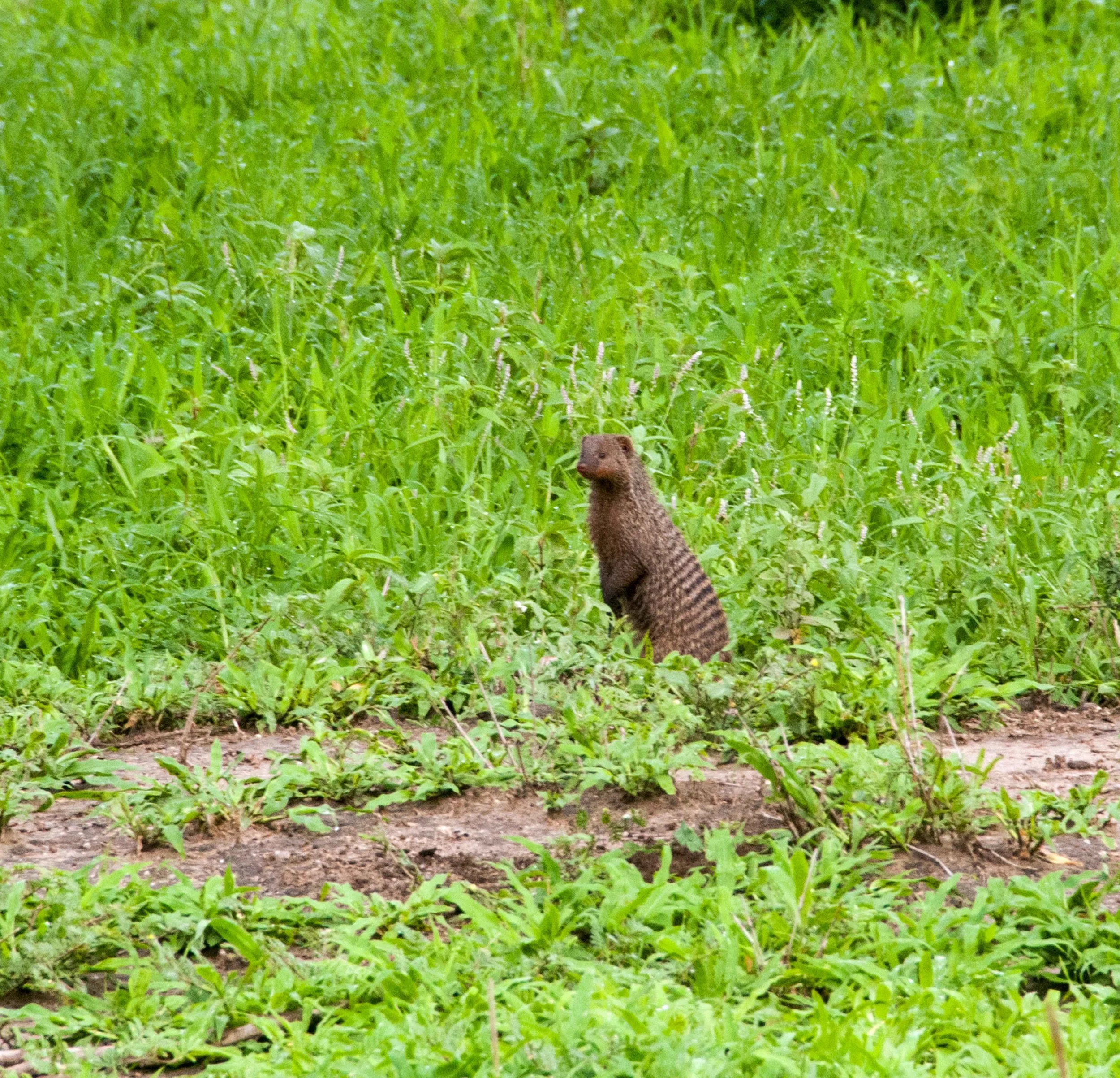 DSC_6692.jpg