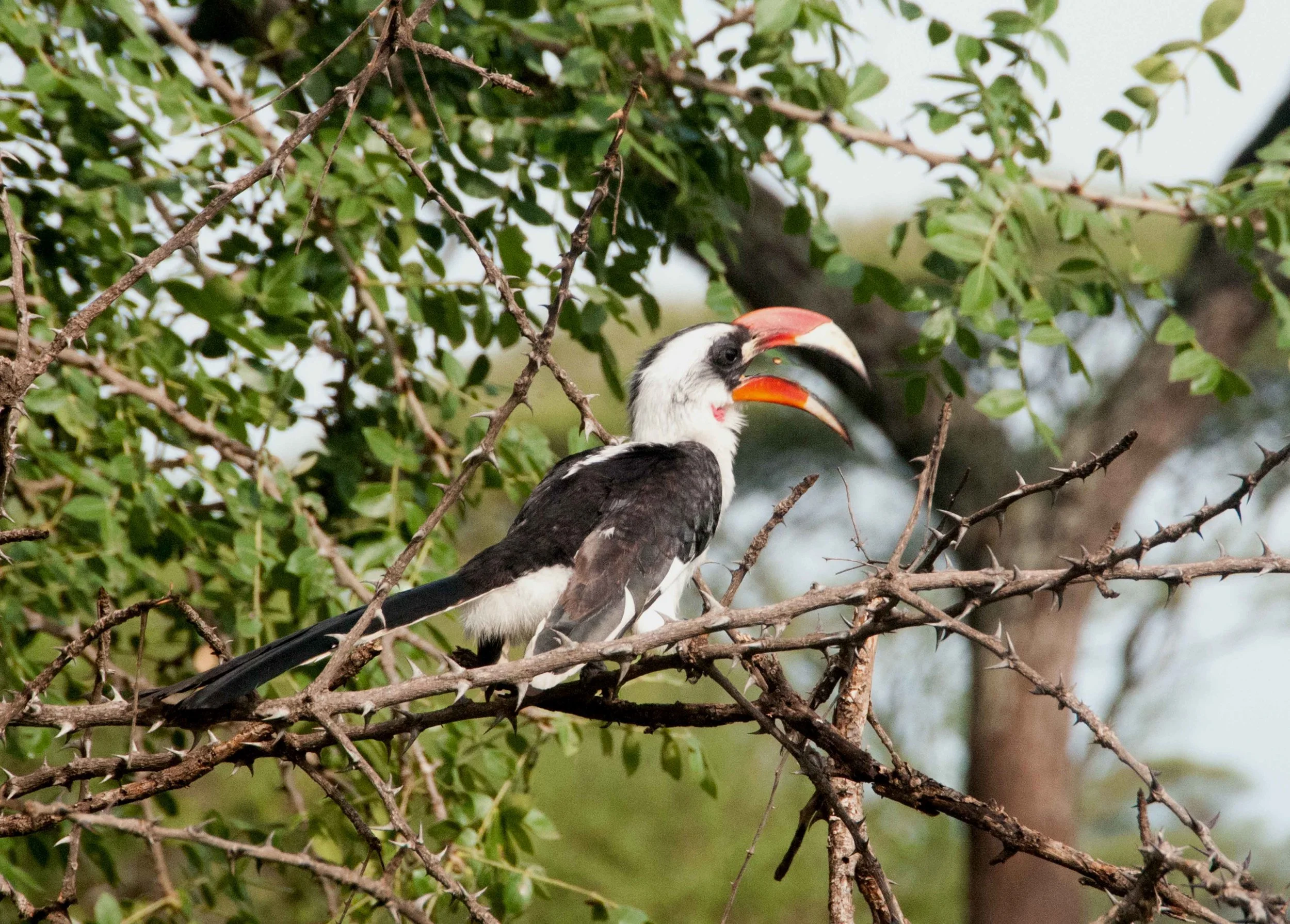 DSC_6716.jpg