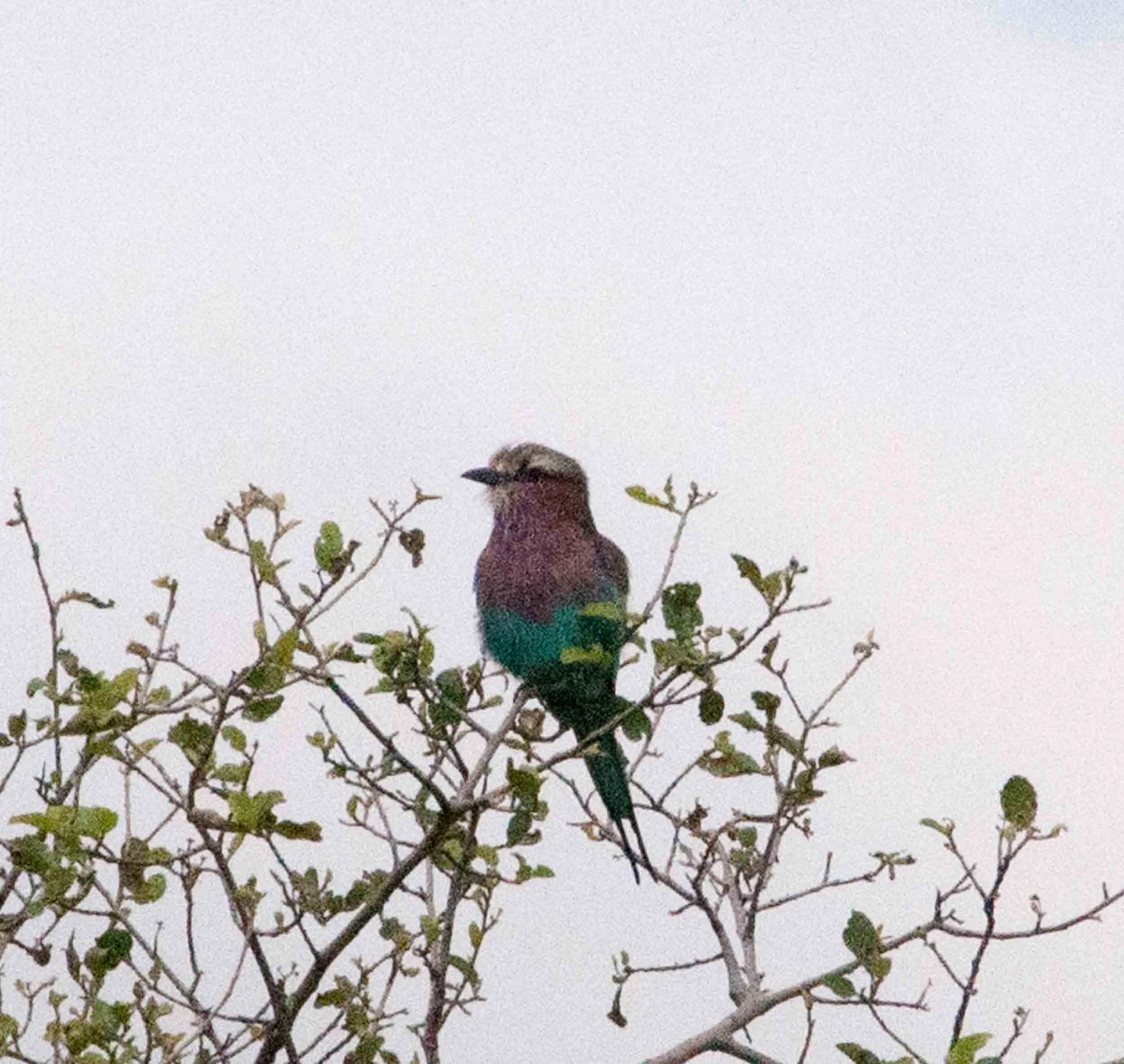 DSC_6777.jpg
