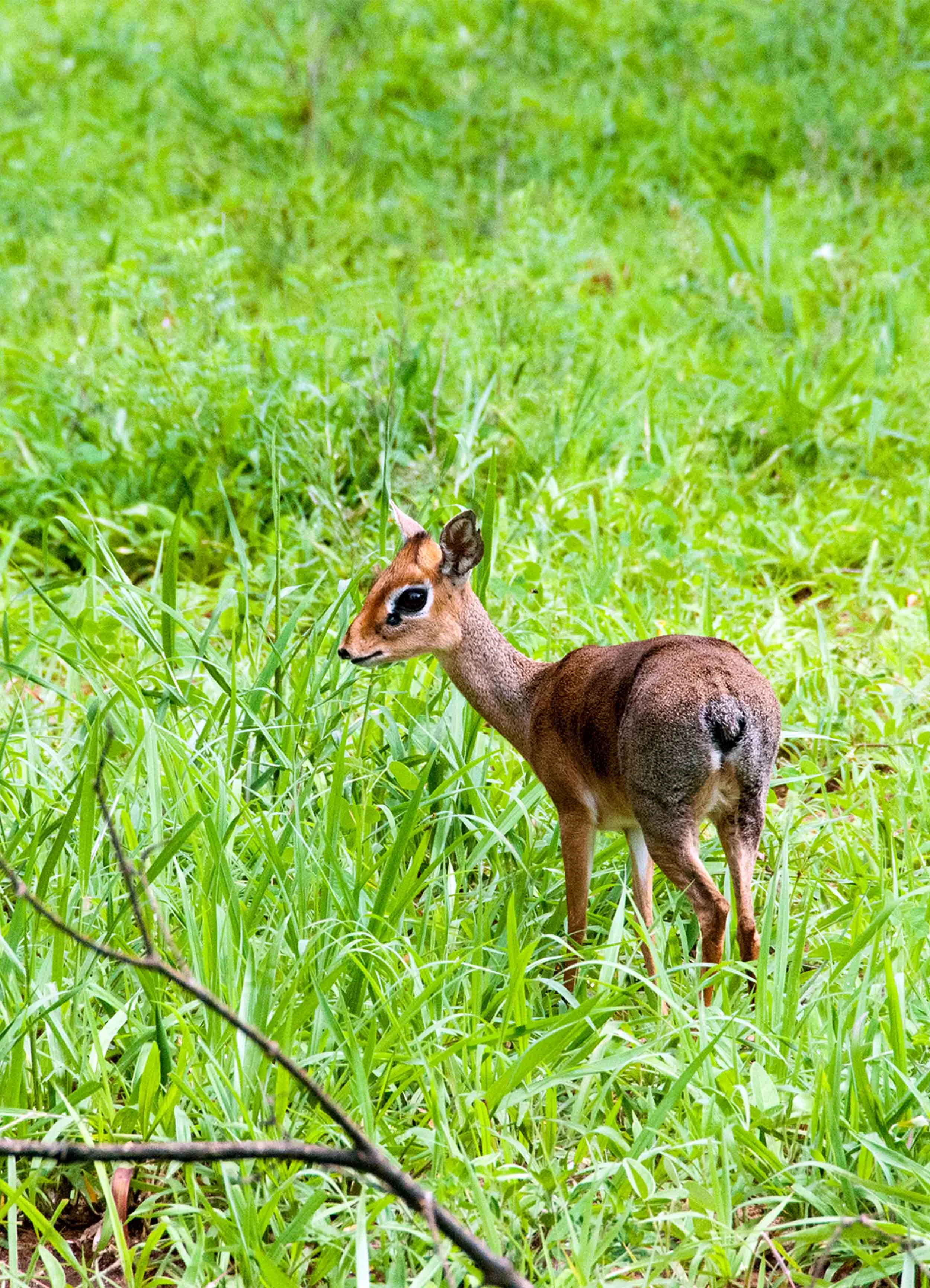 DSC_6780.jpg
