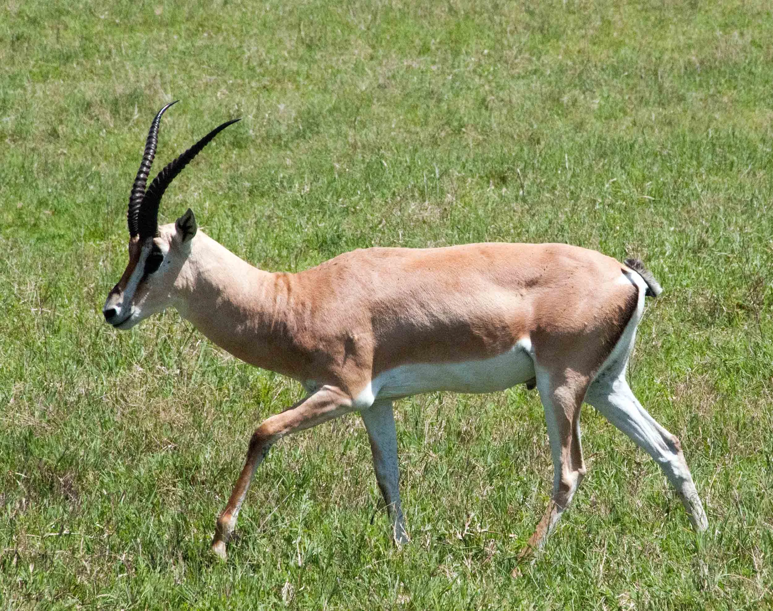 DSC_7163.jpg