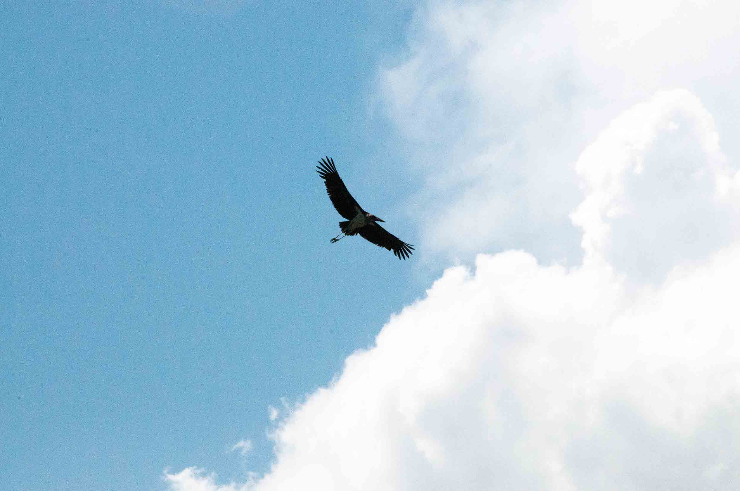 DSC_7249.jpg