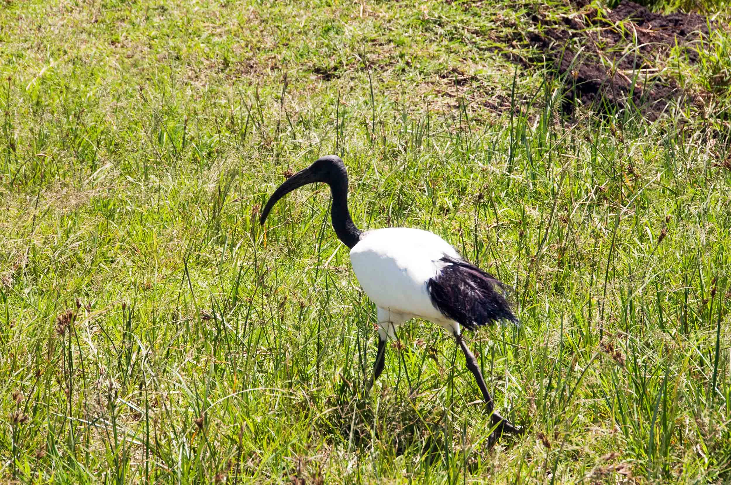 DSC_7281.jpg