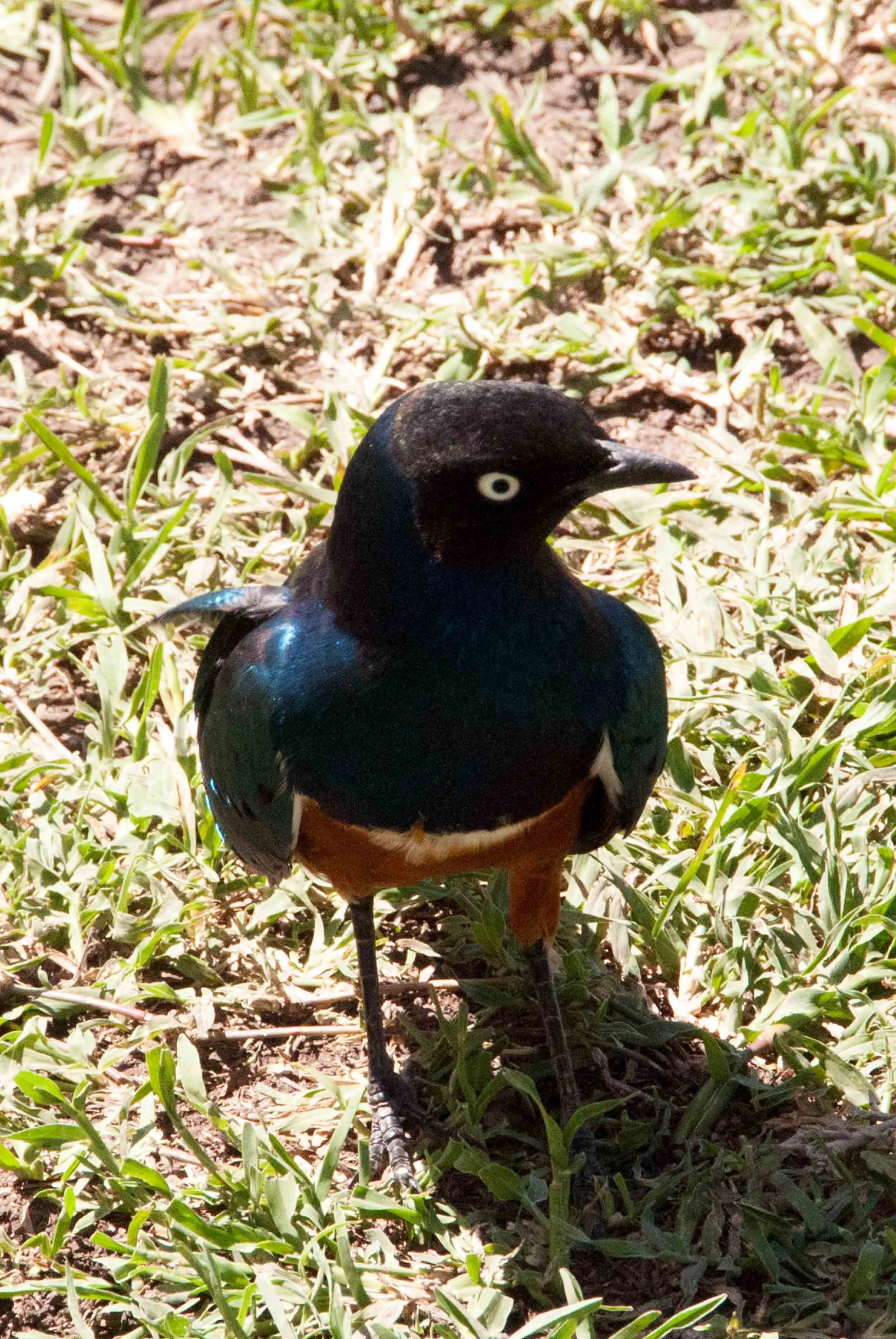 DSC_7305.jpg