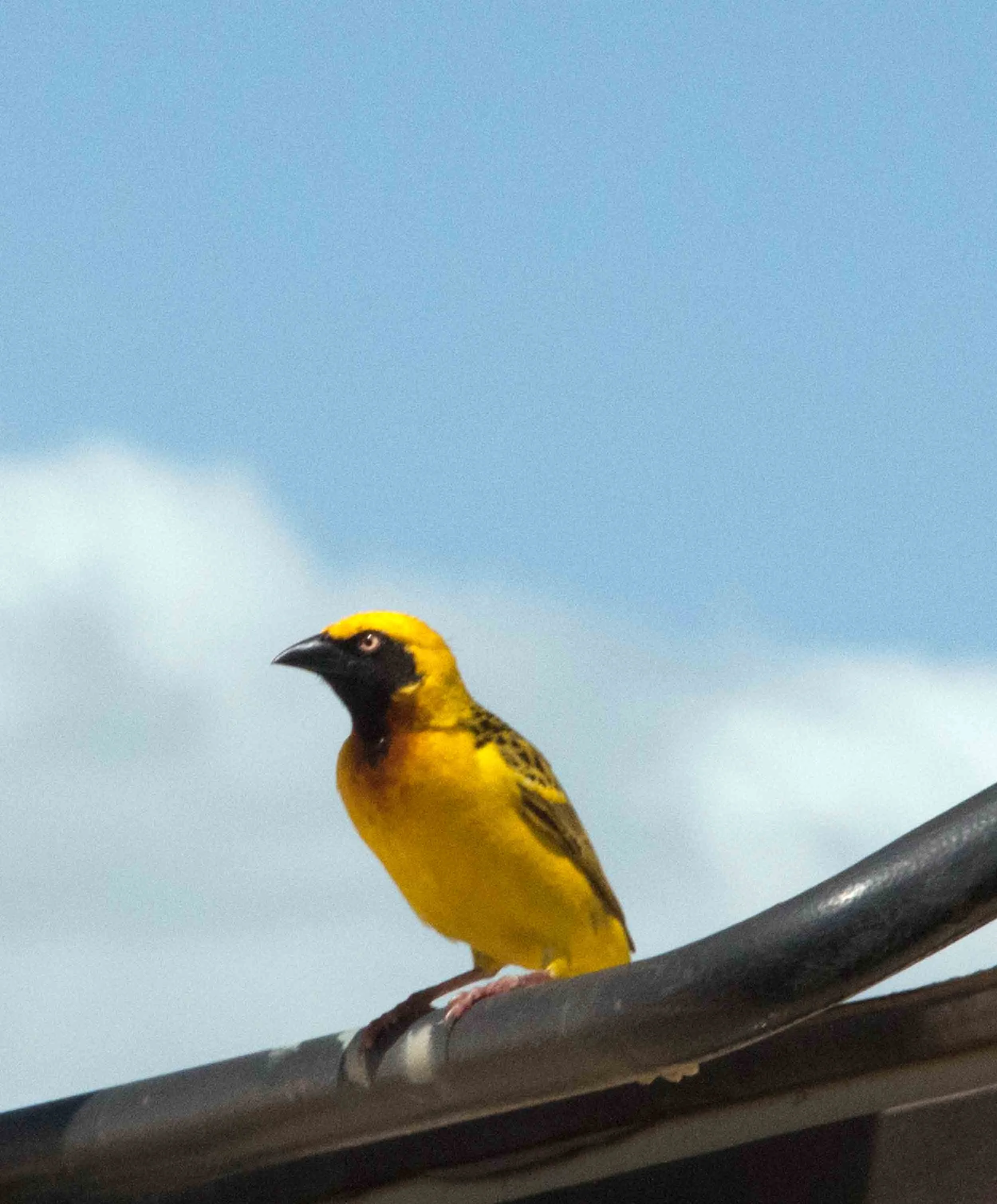 DSC_7318.jpg