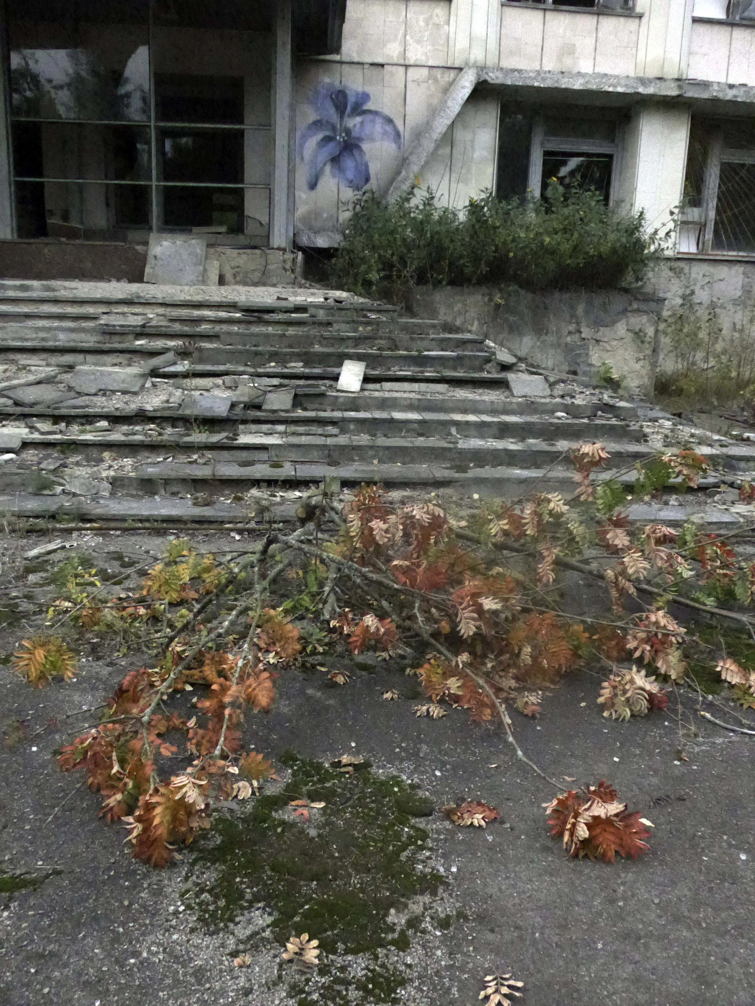 P1000779i.jpg