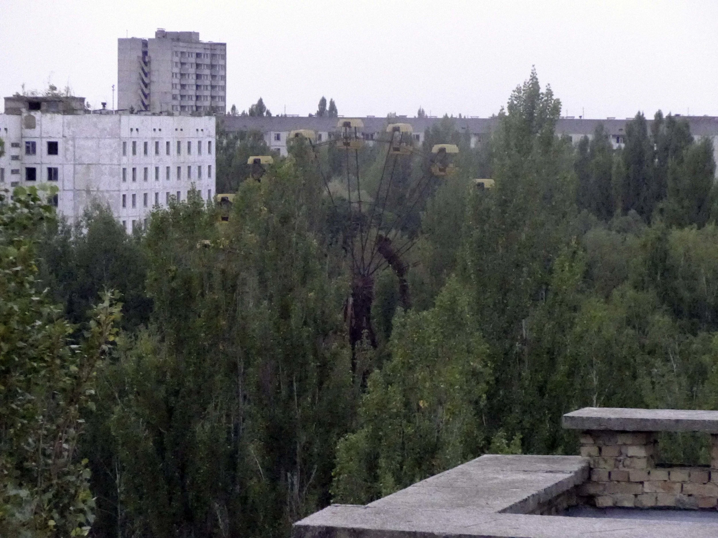 P1000794i.jpg