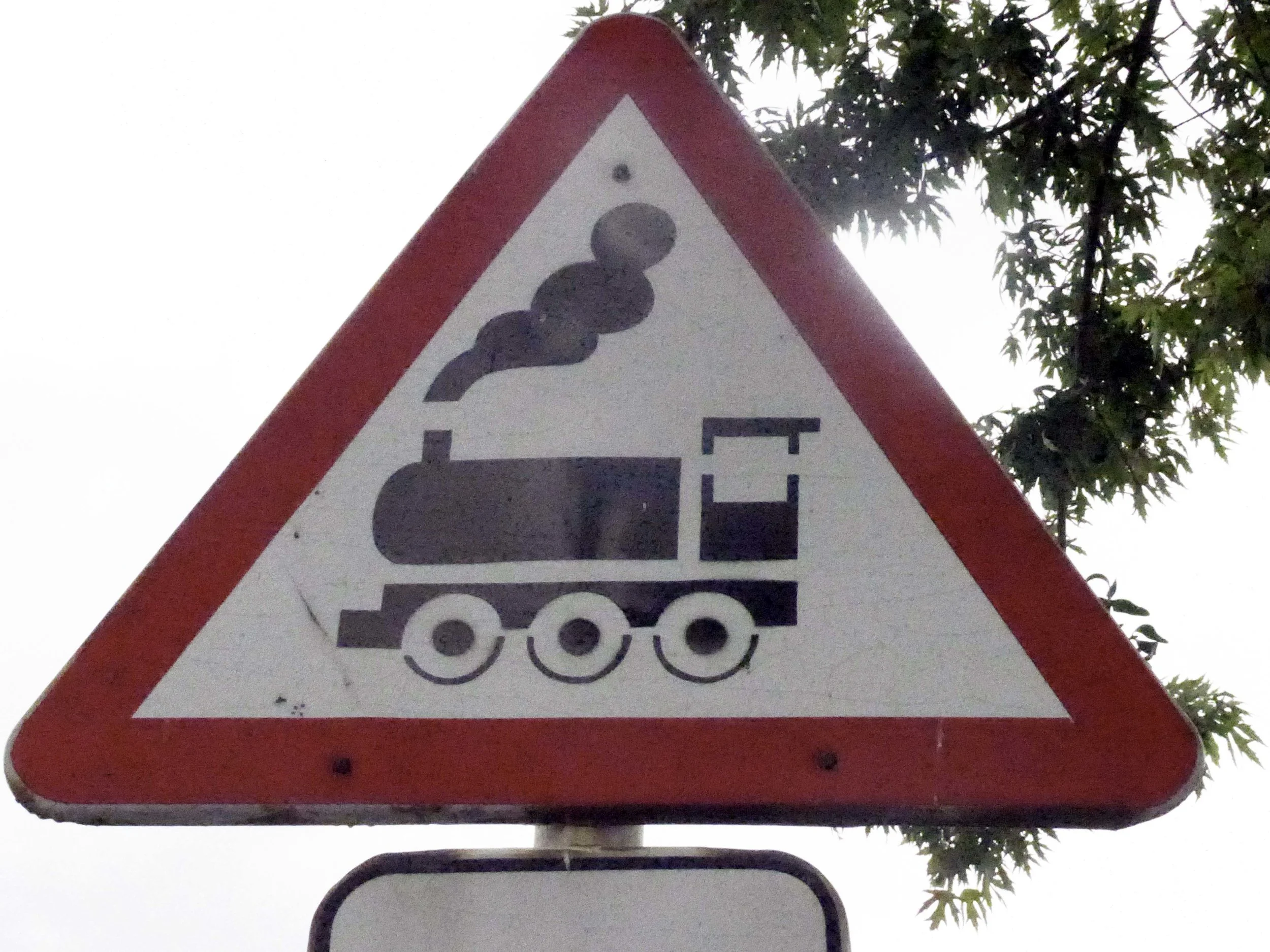 P1000833i.jpg