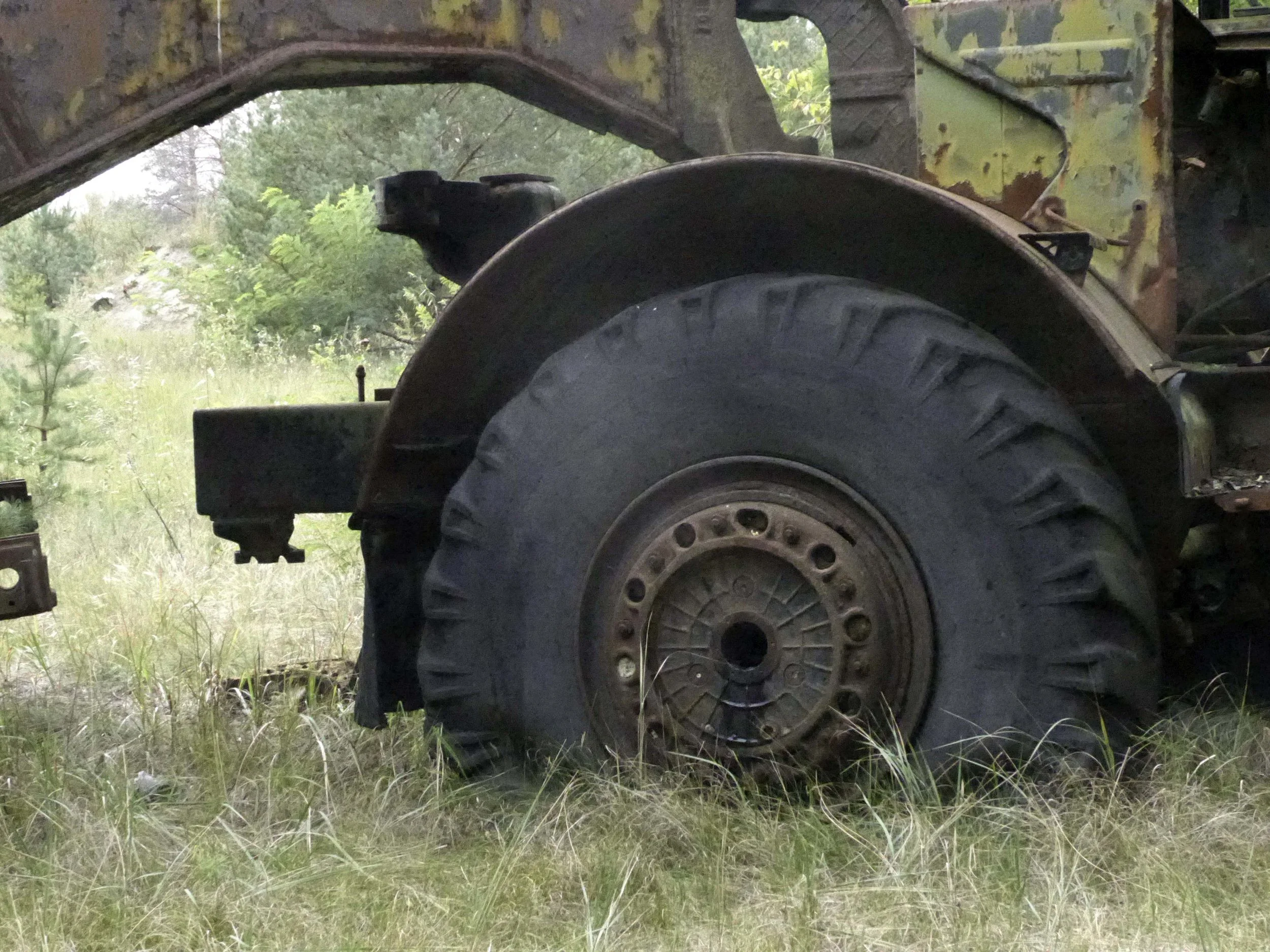 P1000843i.jpg