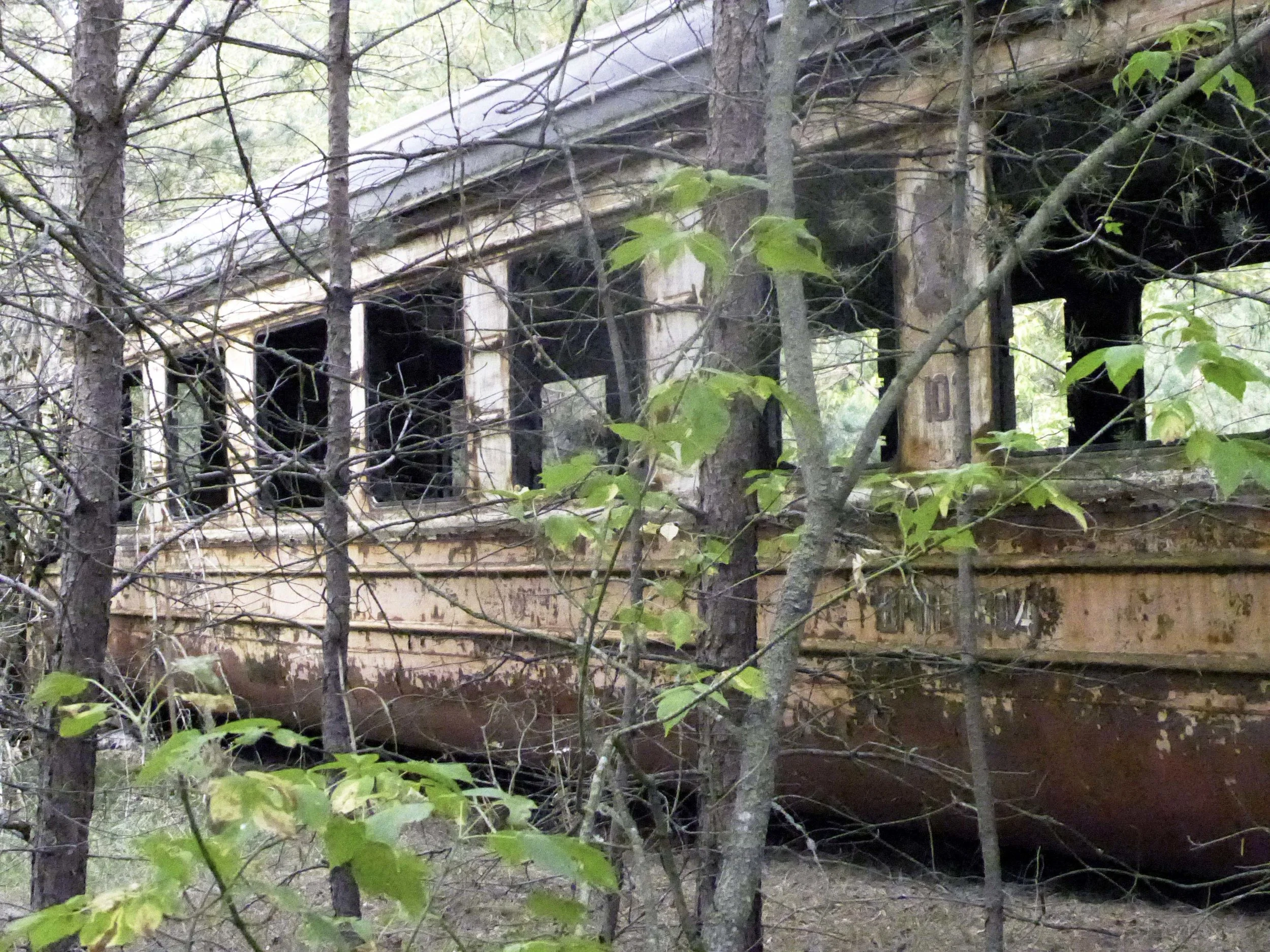 P1000857i.jpg