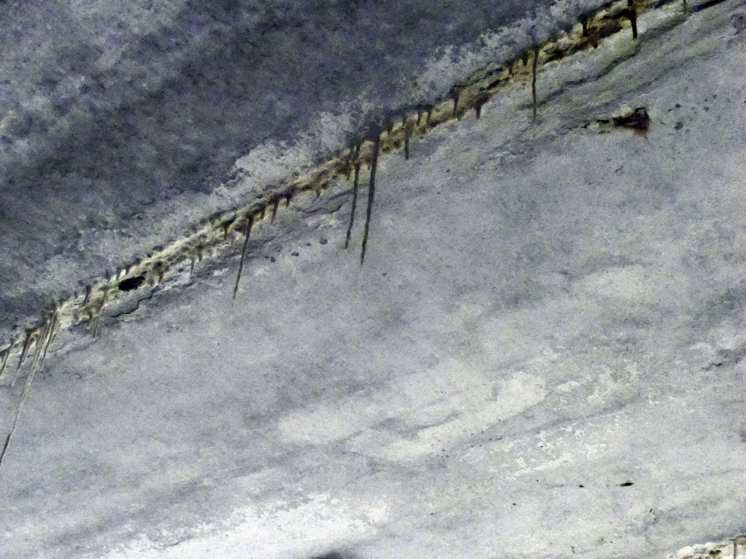 P1000867.jpg