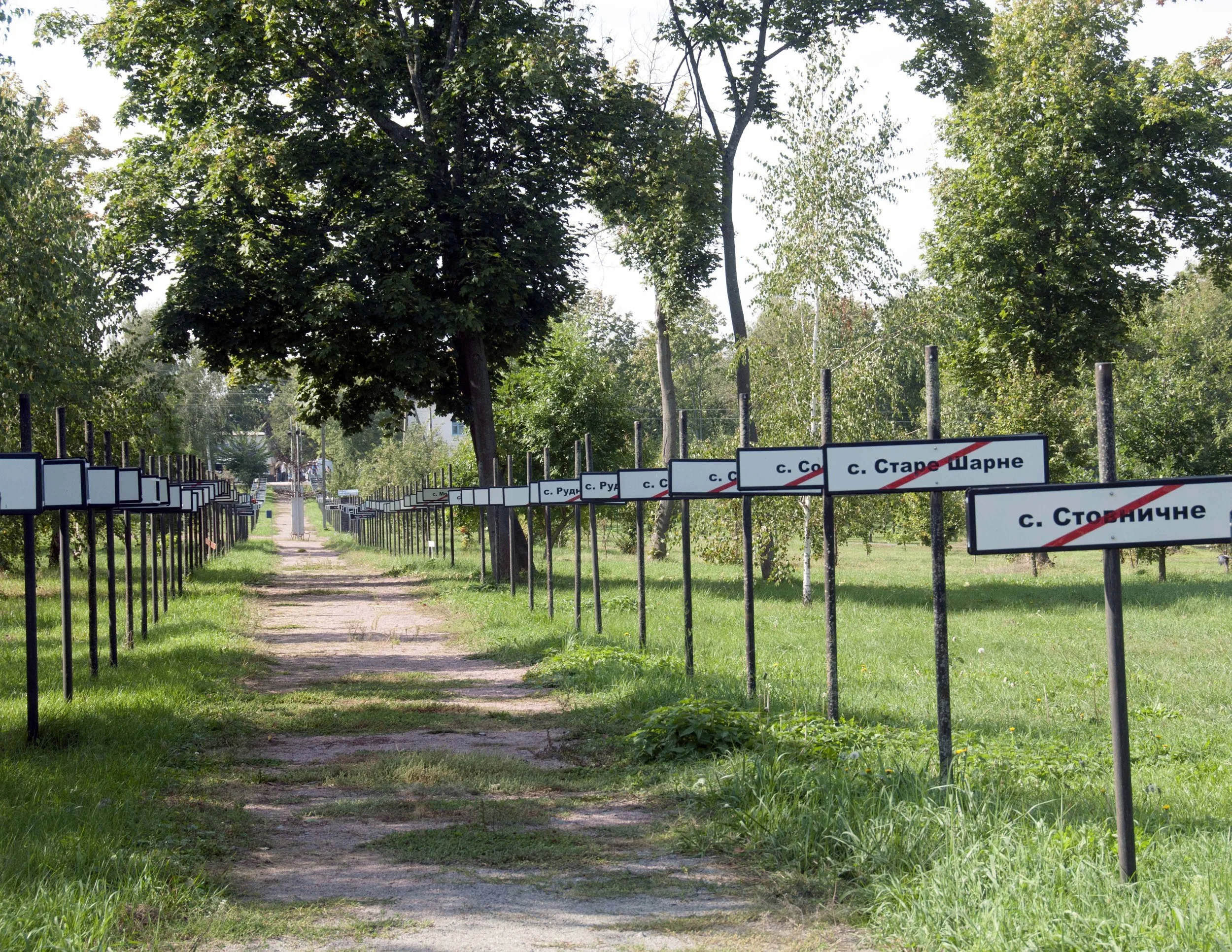 DSC_6204i.jpg
