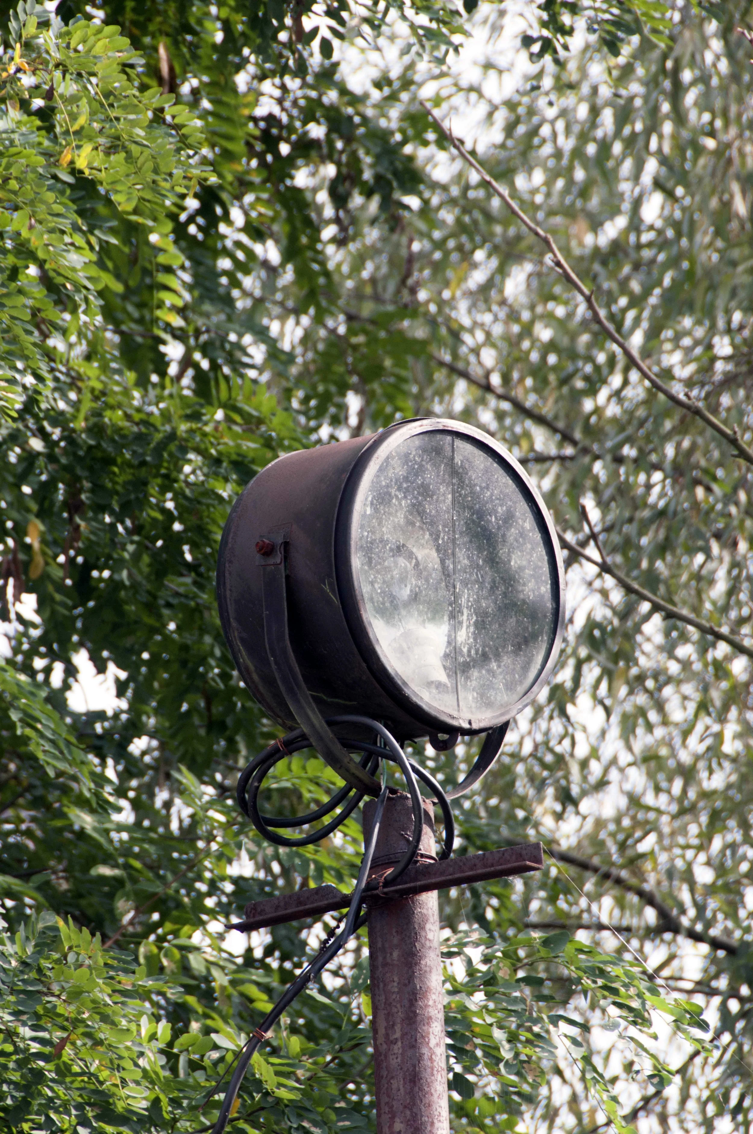 DSC_6291i.jpg