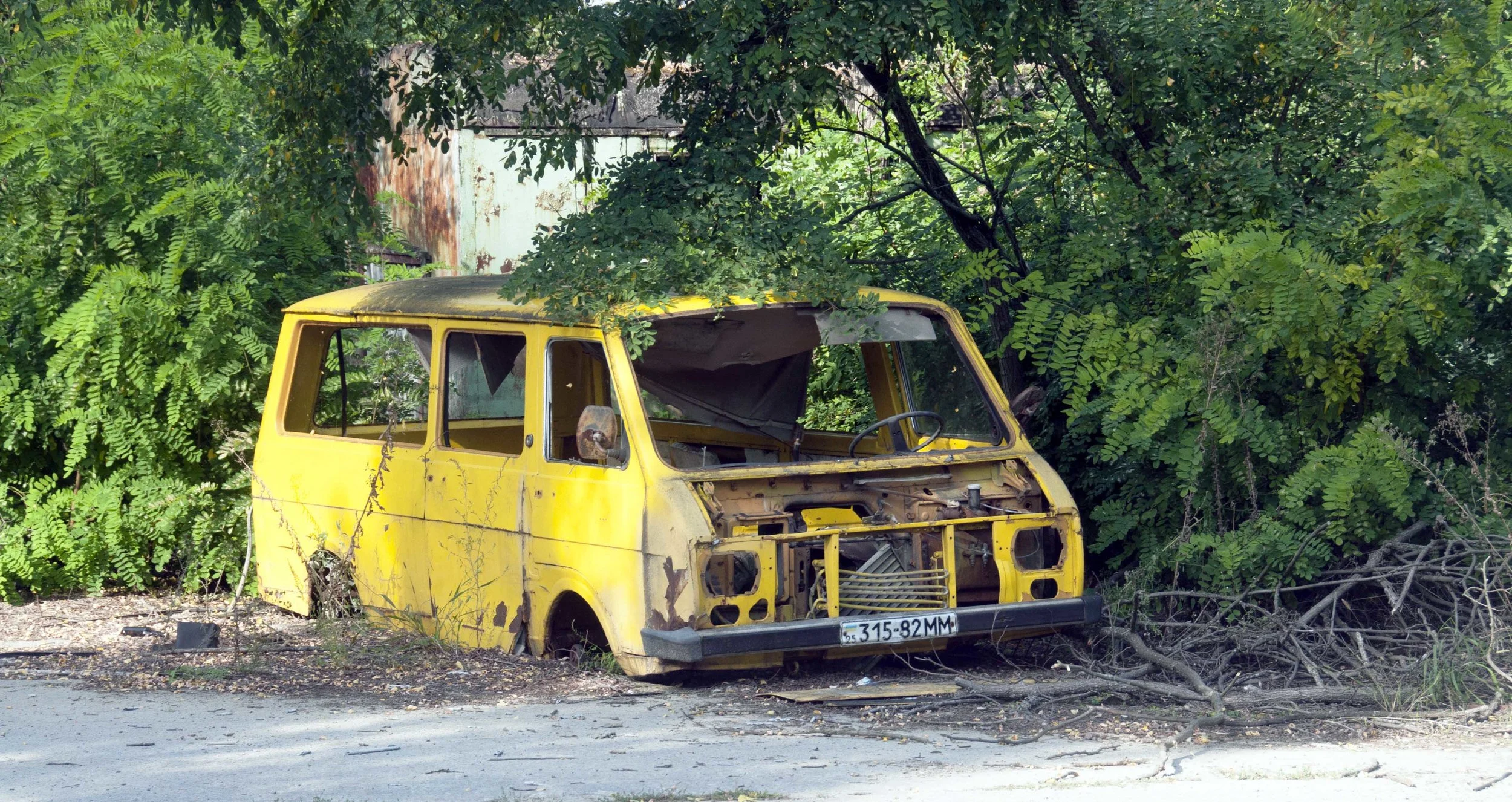 DSC_6447i.jpg