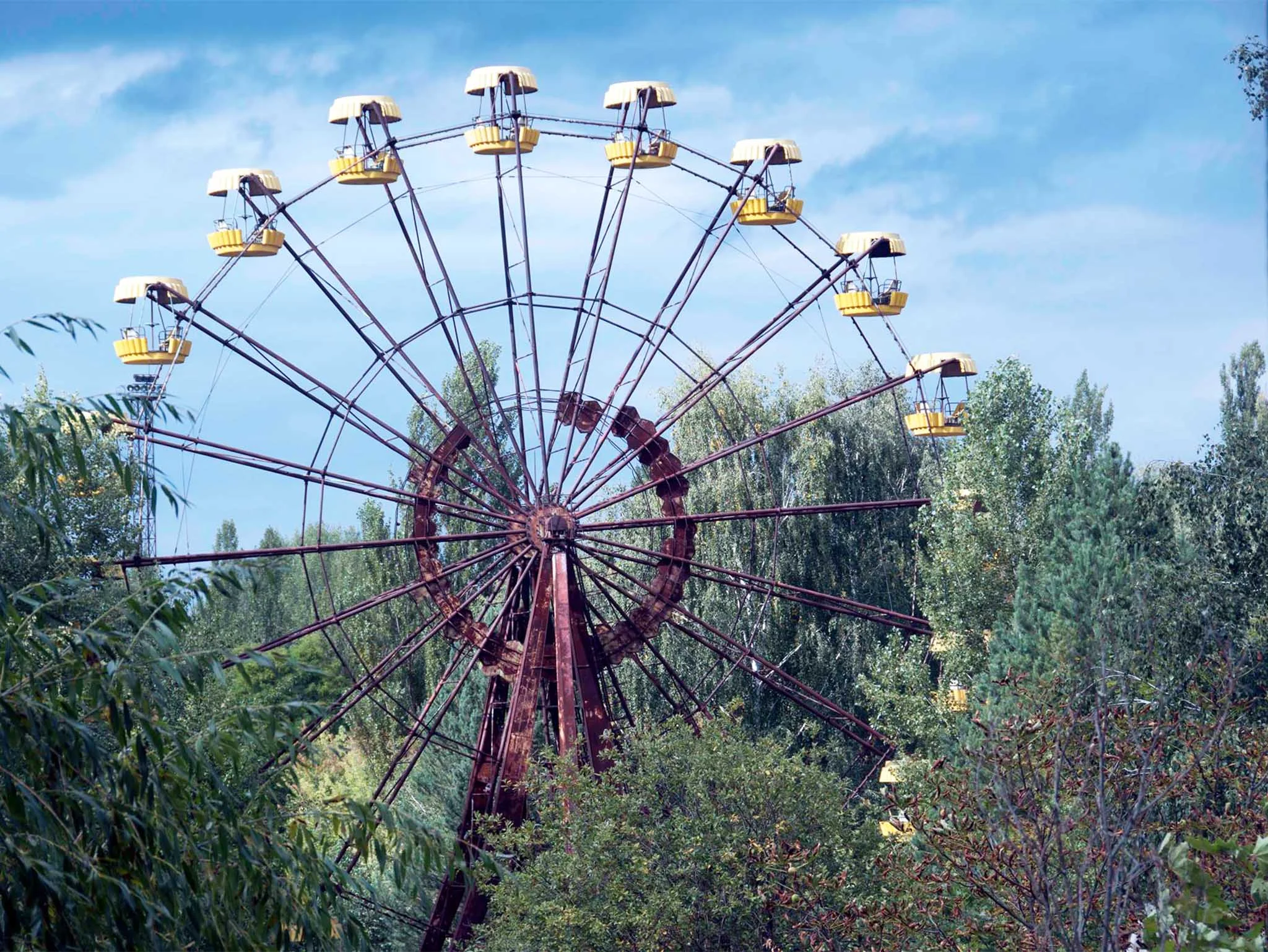 wheel.jpg