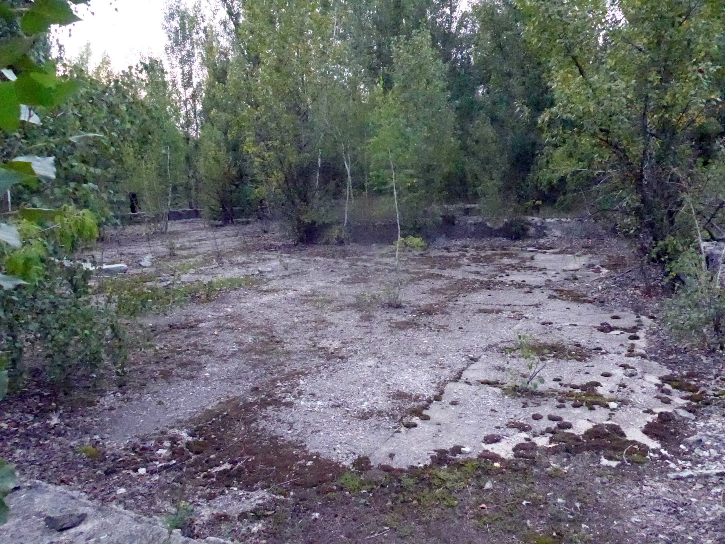 P1000767.jpg