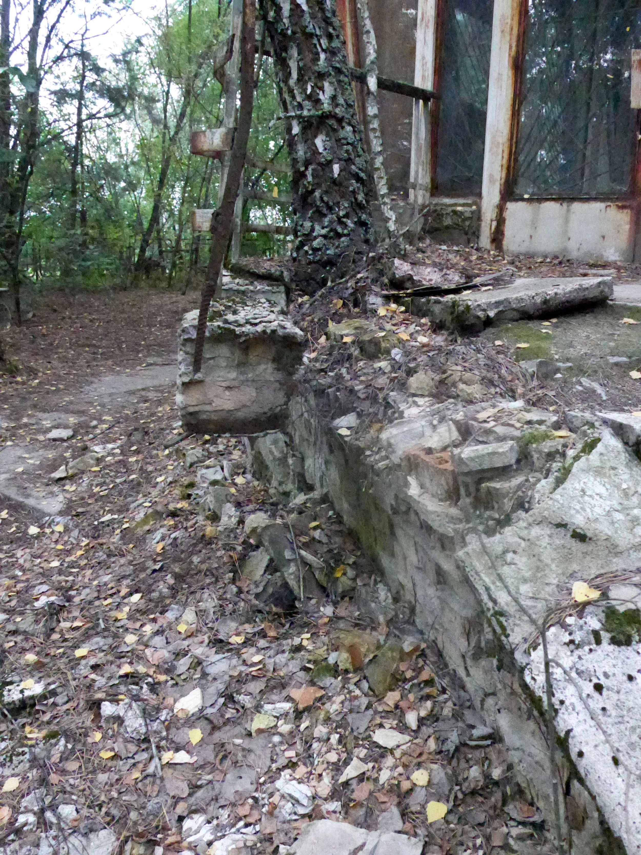 P1000762.jpg