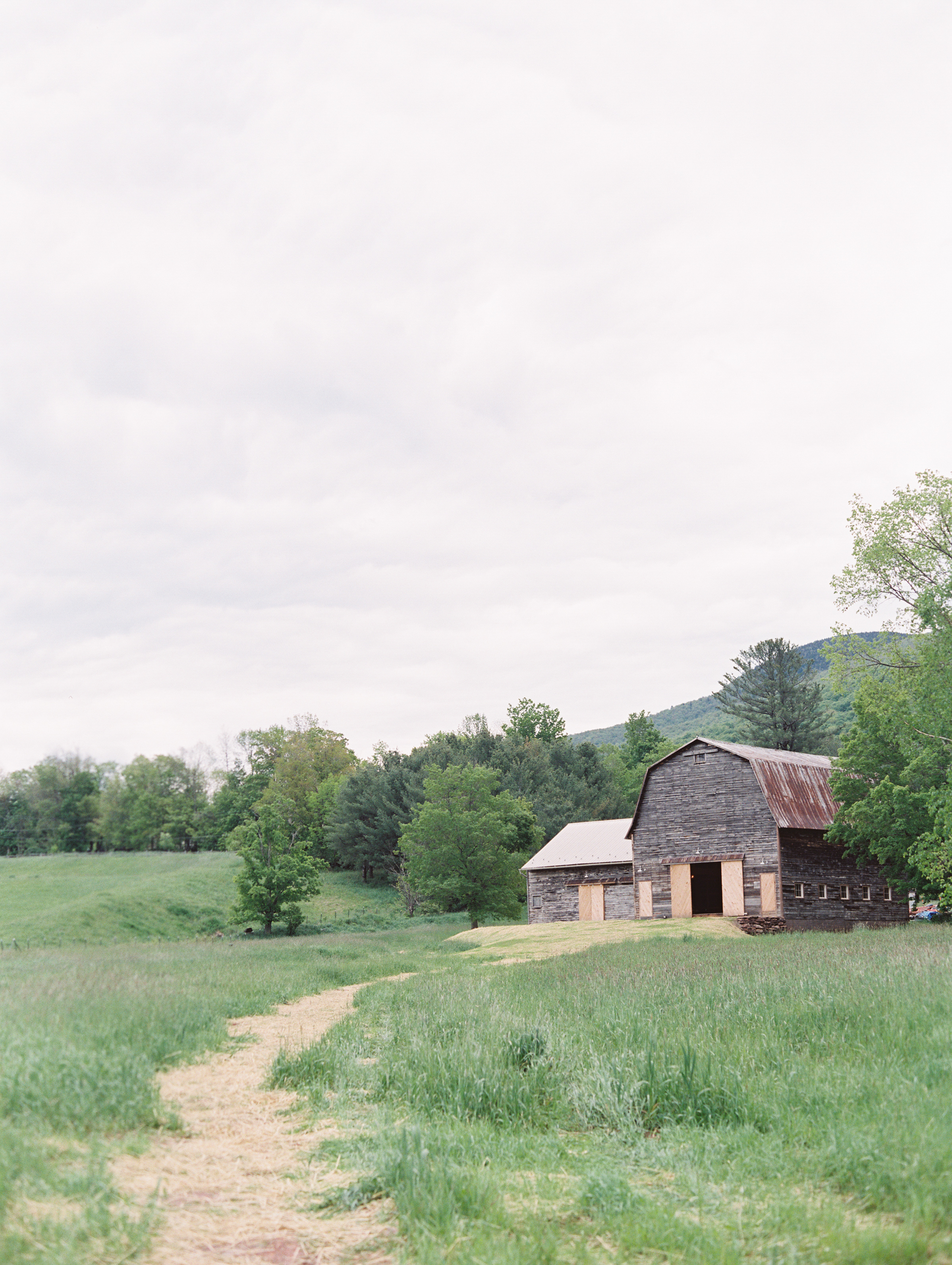 HAYFIELD2017-22.jpg