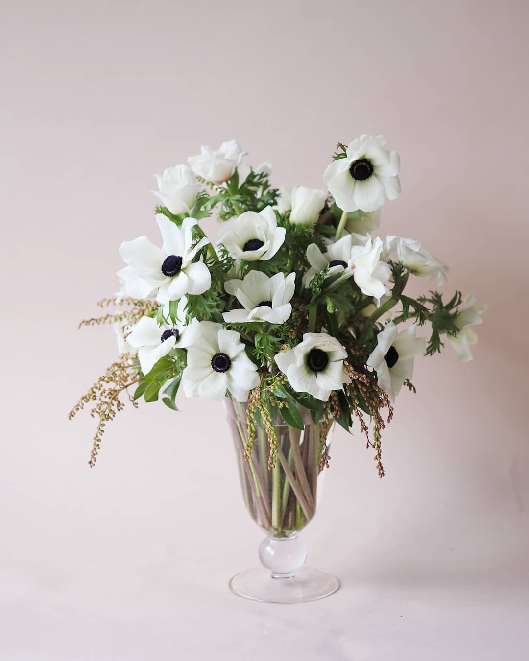 One of today's custom arrangements with some of the season's finest local anemones. ➰