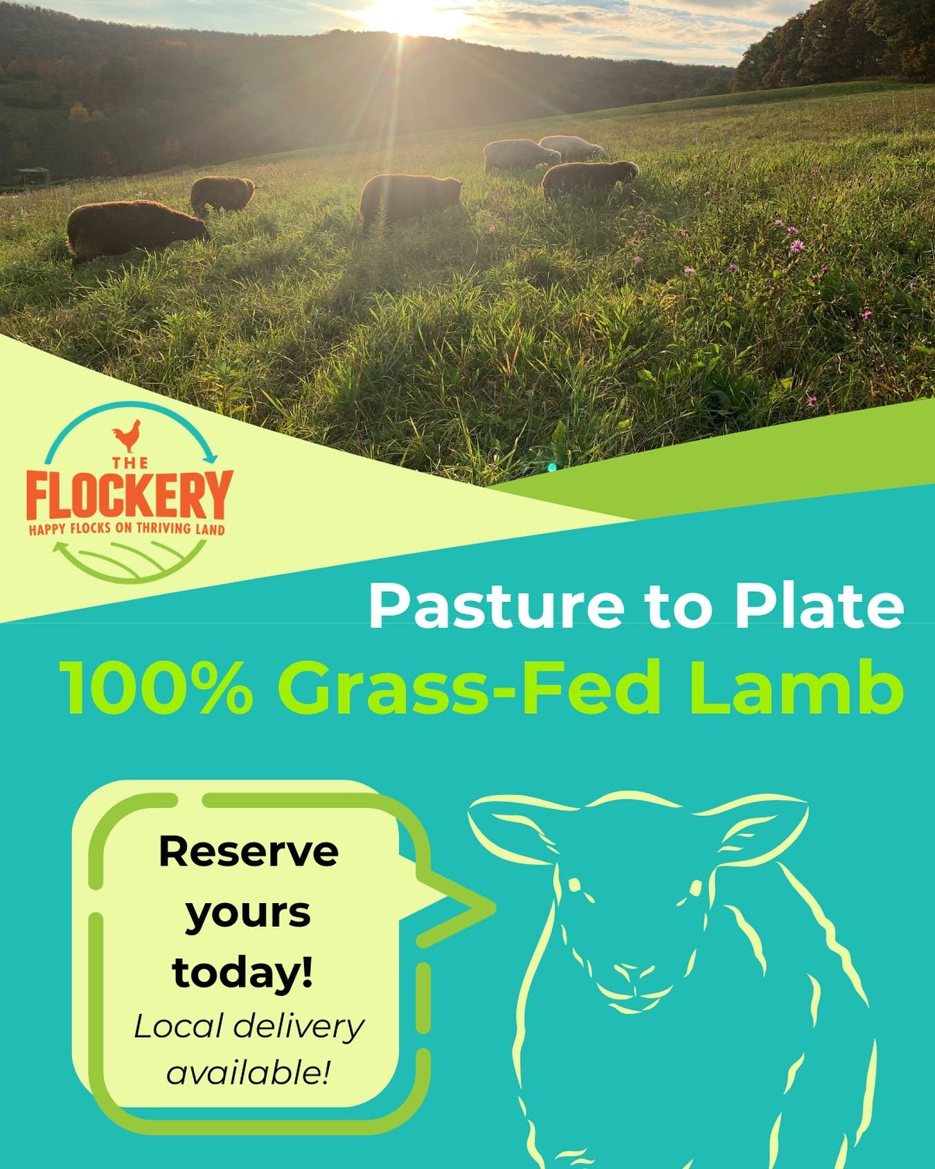 We are selling whole and half lambs this year! Get a hold of me in some capacity to reserve a delicious grass fed/finished lamb today! Aaaaand we are OFFICIALLY NYS Grown &amp; Certified #nyscertified #regenerativefarming #grassfed #grazingsheep