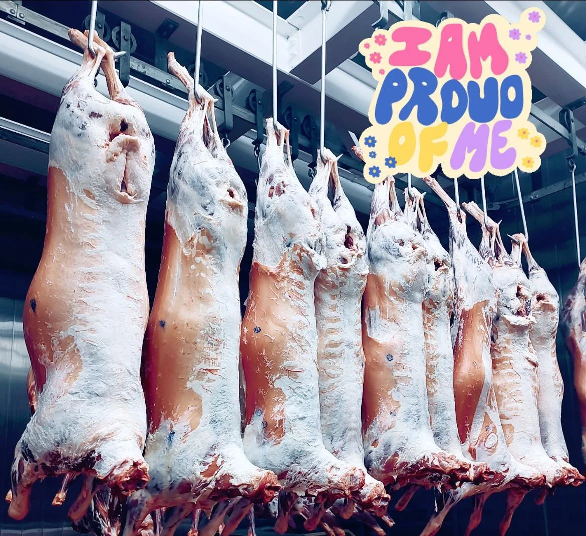 Fall lambs have been processed and they look awesome. I couldn&rsquo;t be happier with their weights. These lambs were born in April and May 2025 and grazed alongside their mamas all summer and fall. Snow forced the flock into the barns in early Nove