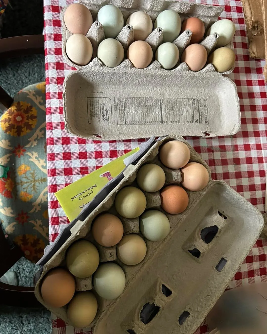 Girls and I are heading out for our weekly egg delivery! Send me a message if you would like beautiful free range eggs delivered to your home!  #otsegocountyny #cherryvalleynyfarm #cherryvalleyny #farmfamilylife #investinlocalfoodsystems #investinloc