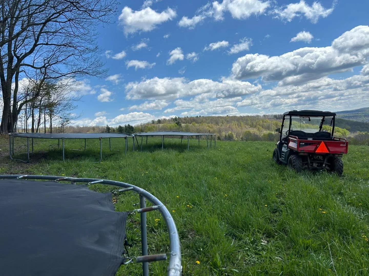 Puttin up my trampolines today so we can begin our grazing season! Lambs are all on the ground, the grass is delicious( according to sheep), and I am out of hay. The flock can&rsquo;t wait to move out here!  #regenerativefarming #otsegocountyny #graz