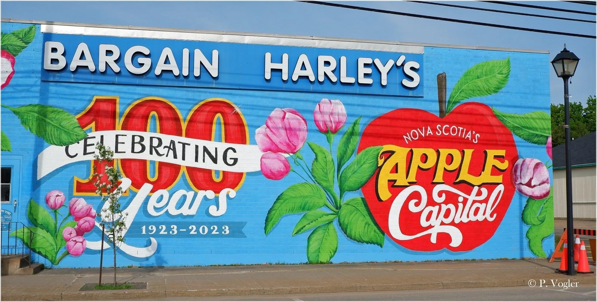 Berwick Centennial Mural (Copy)
