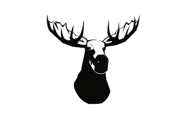 Head_moose.001.jpeg
