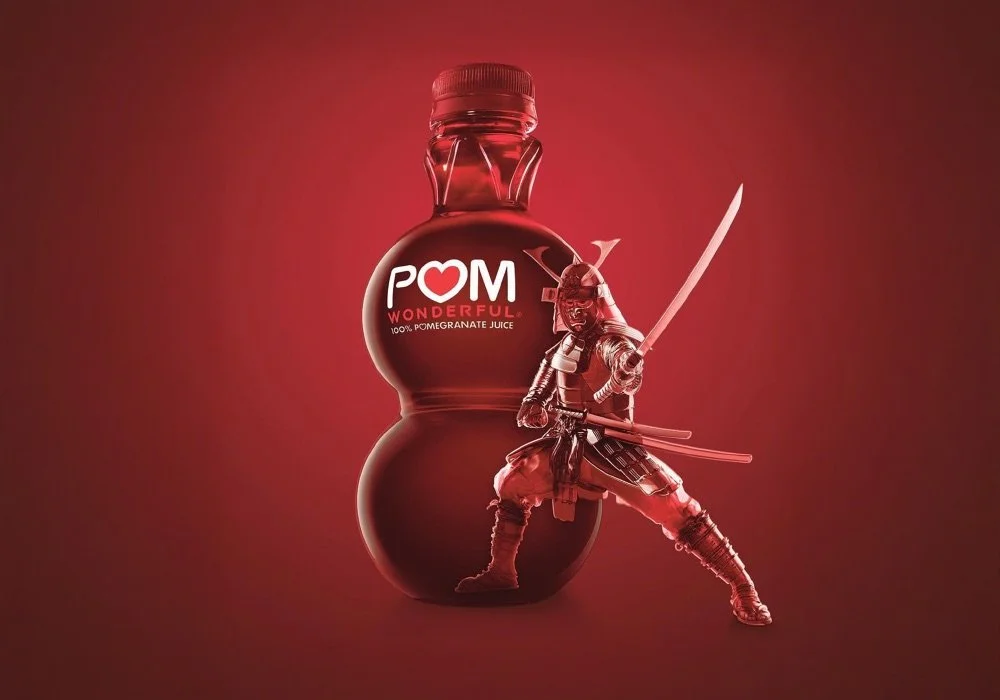 POM WARRIOR CHARACTER DESIGN + 3D MODELING