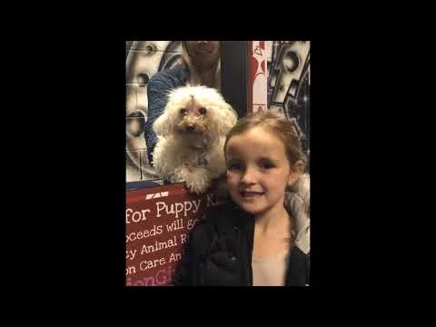 2019 Fusion Dance Studio Year End Video