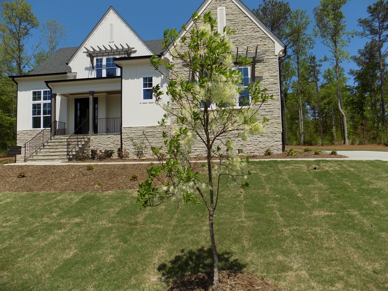 Green-Home-Features-Native-Trees.jpg