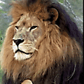 a482d7849b176f53fe83e2940ad53005.gif