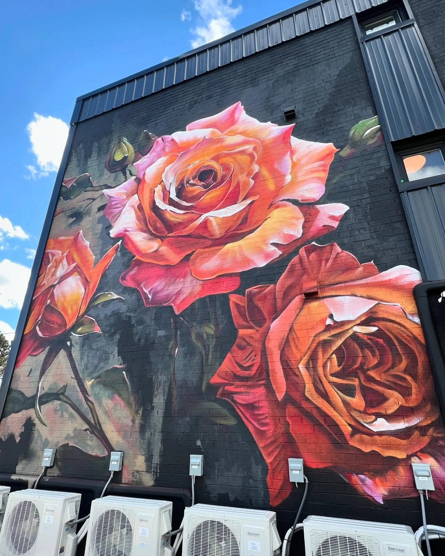 Roses on Rose Street