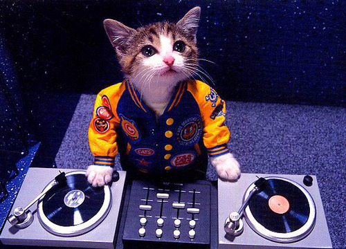 DJ Kitteh.jpg
