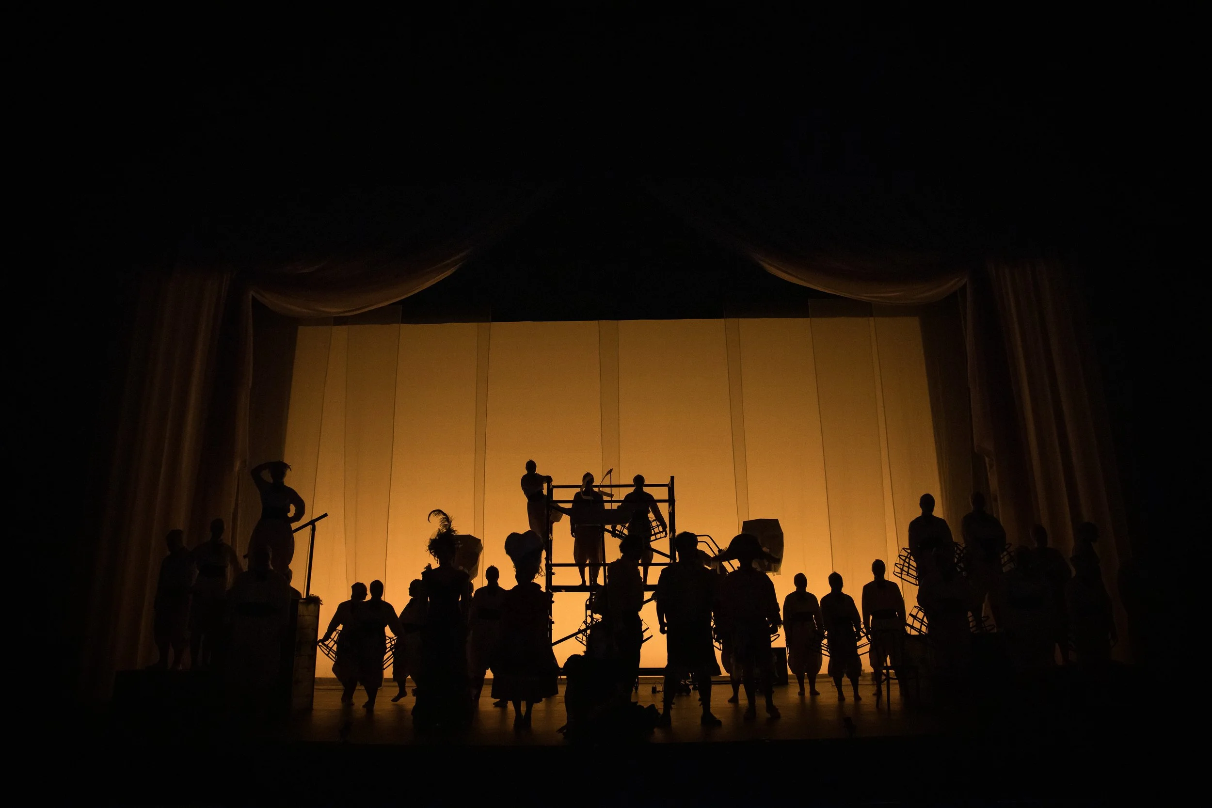 914-MGSA-Candide N1.jpg