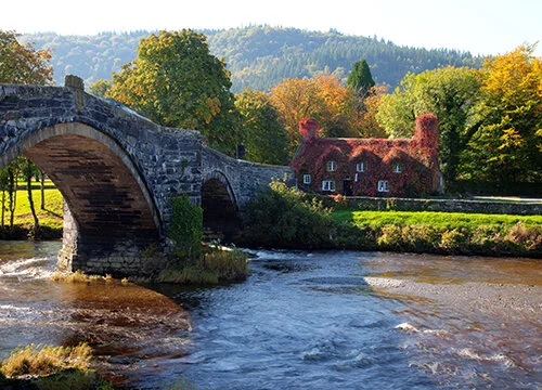 Wales, UK Image © Gail Johnson / stock.adobe.com
