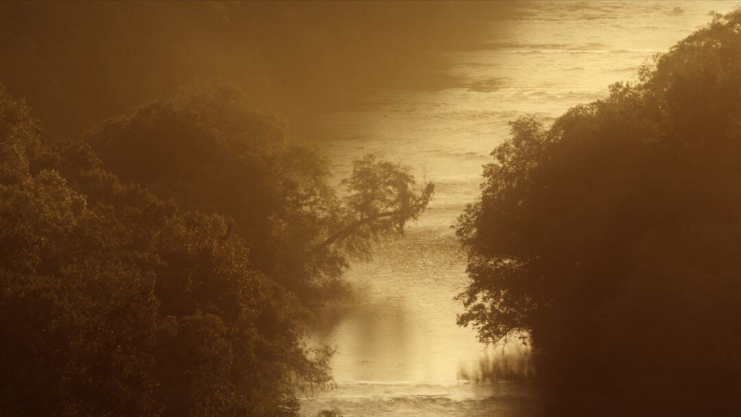 Spirit⠀⠀⠀⠀⠀⠀⠀⠀⠀
.⠀⠀⠀⠀⠀⠀⠀⠀⠀⠀
Check out &quot;Spirit&quot; on our IGTV⠀⠀⠀⠀⠀⠀⠀⠀⠀
.⠀⠀⠀⠀⠀⠀⠀⠀⠀⠀⠀⠀⠀⠀⠀⠀⠀
Abstraction, Flow, Color, Patterns⠀⠀⠀⠀⠀⠀⠀⠀⠀
.⠀⠀⠀⠀⠀⠀⠀⠀⠀
The rains let up, a radiant glow from the sinking sun lit up everything with a golden glow. An ama