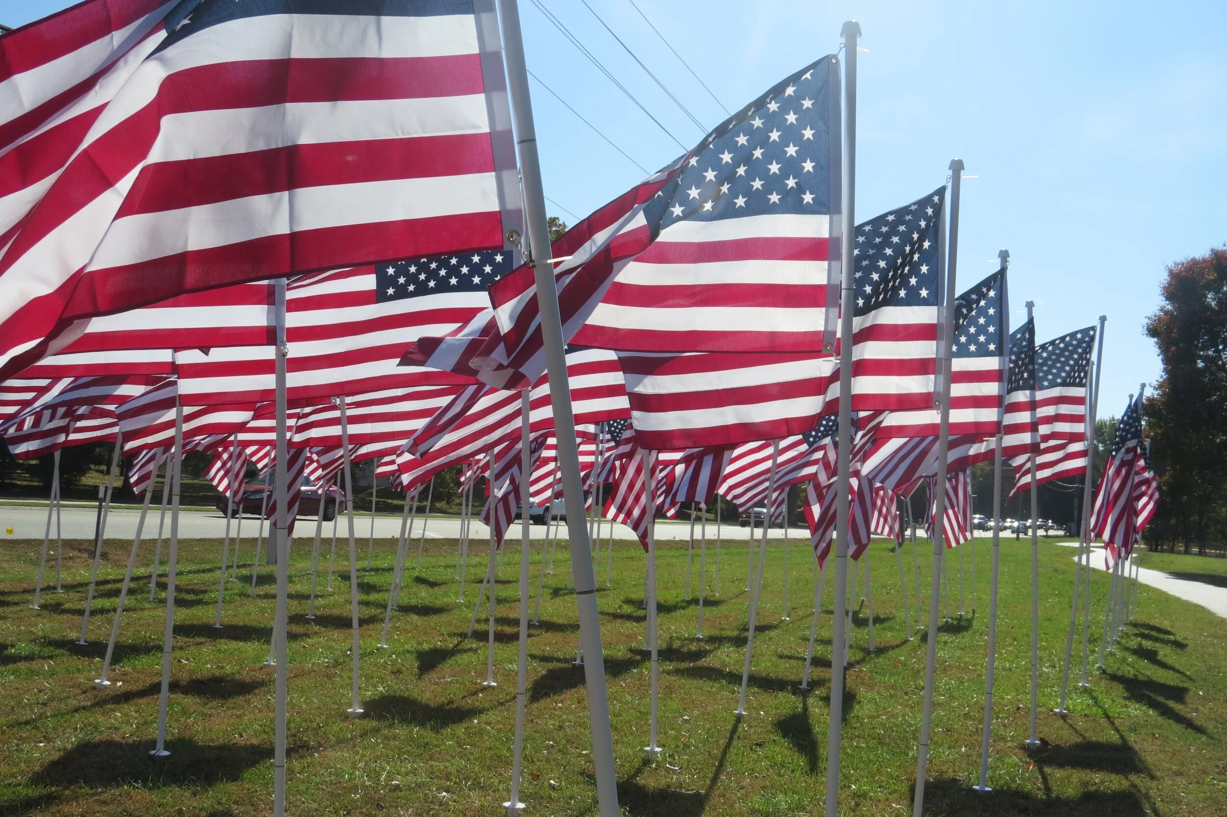 Flags for Heroes 2019 — Rotary Club of James City County